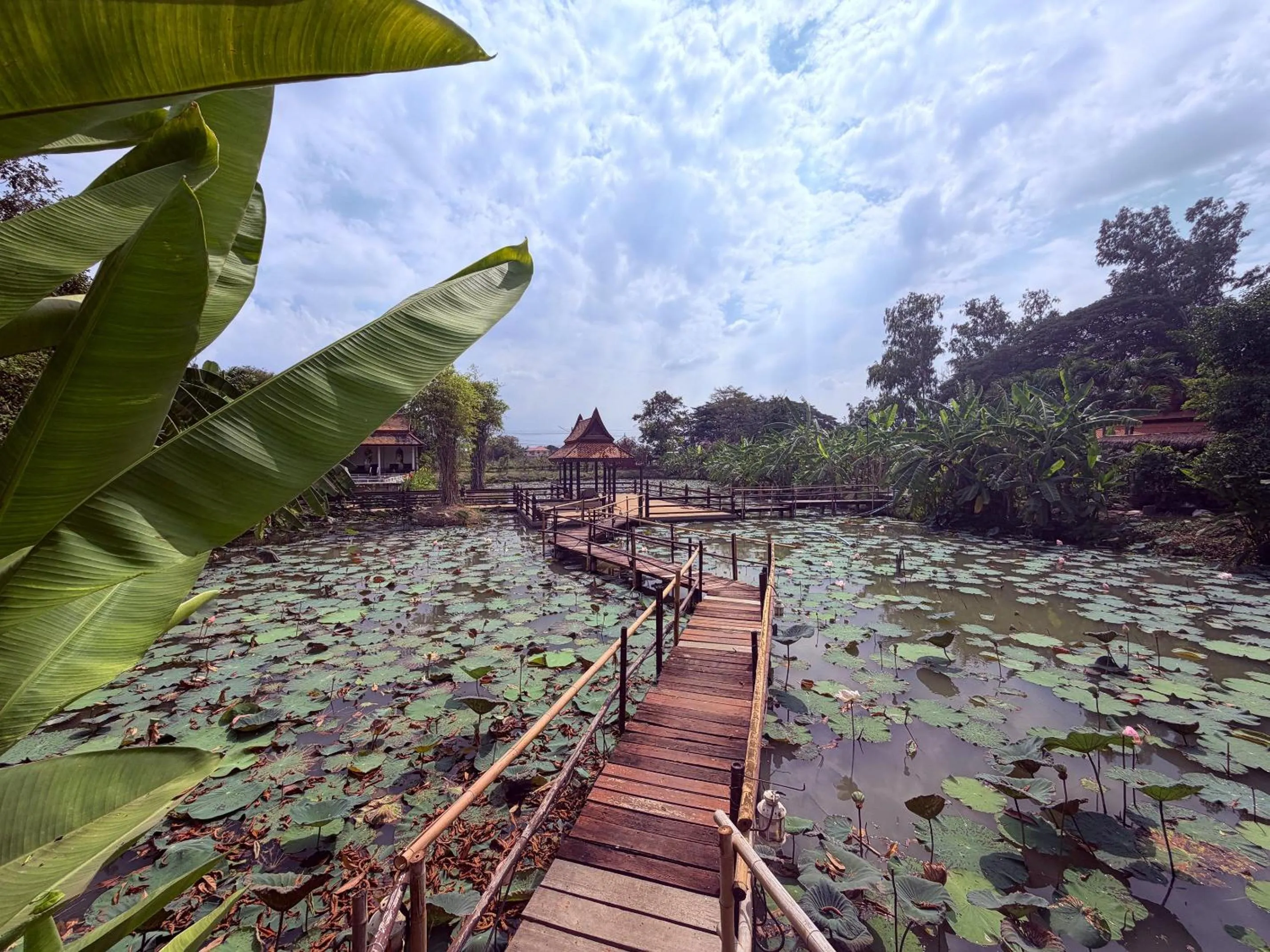 Natural landscape in Ayutthaya Garden River Home