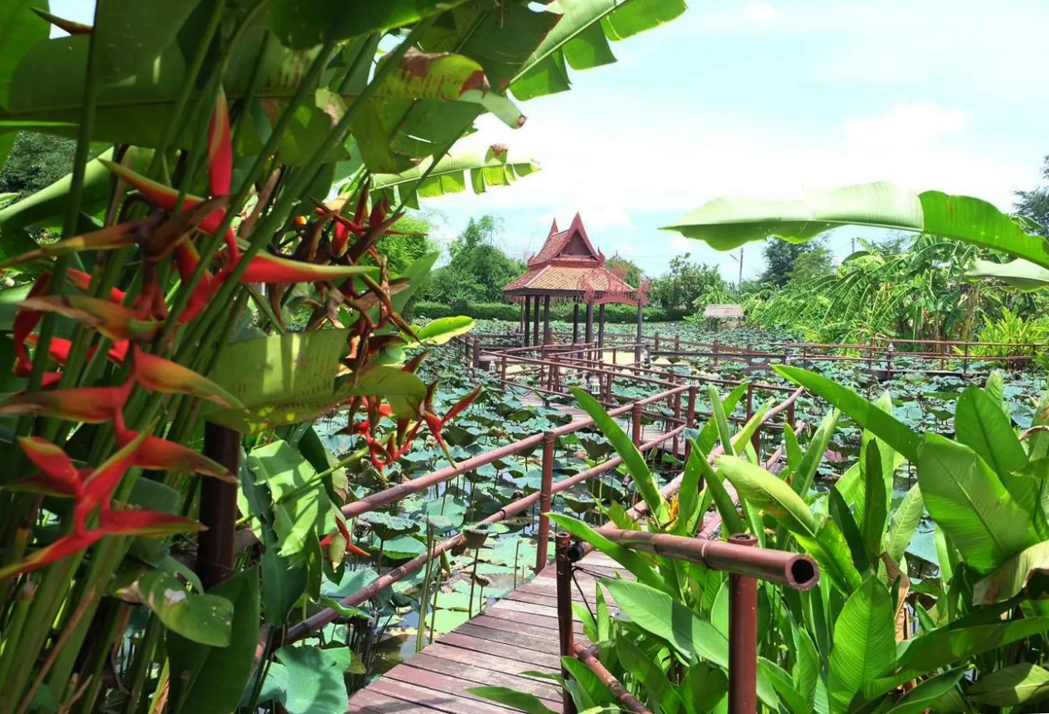 Garden in Ayutthaya Garden River Home