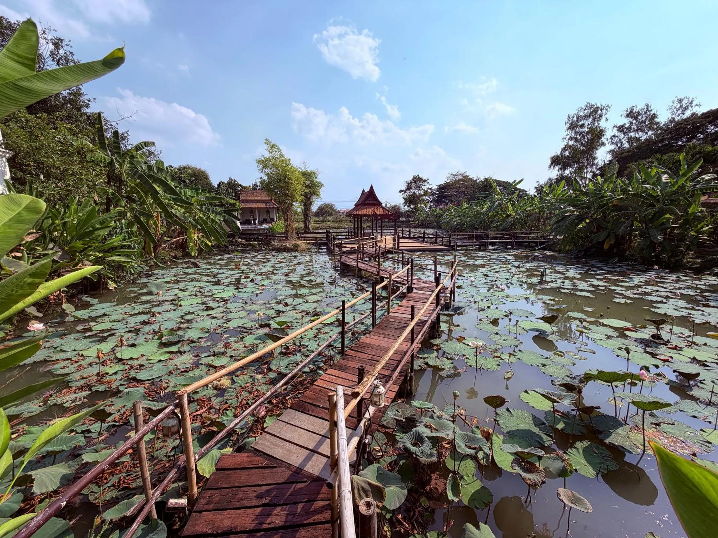 Natural landscape in Ayutthaya Garden River Home