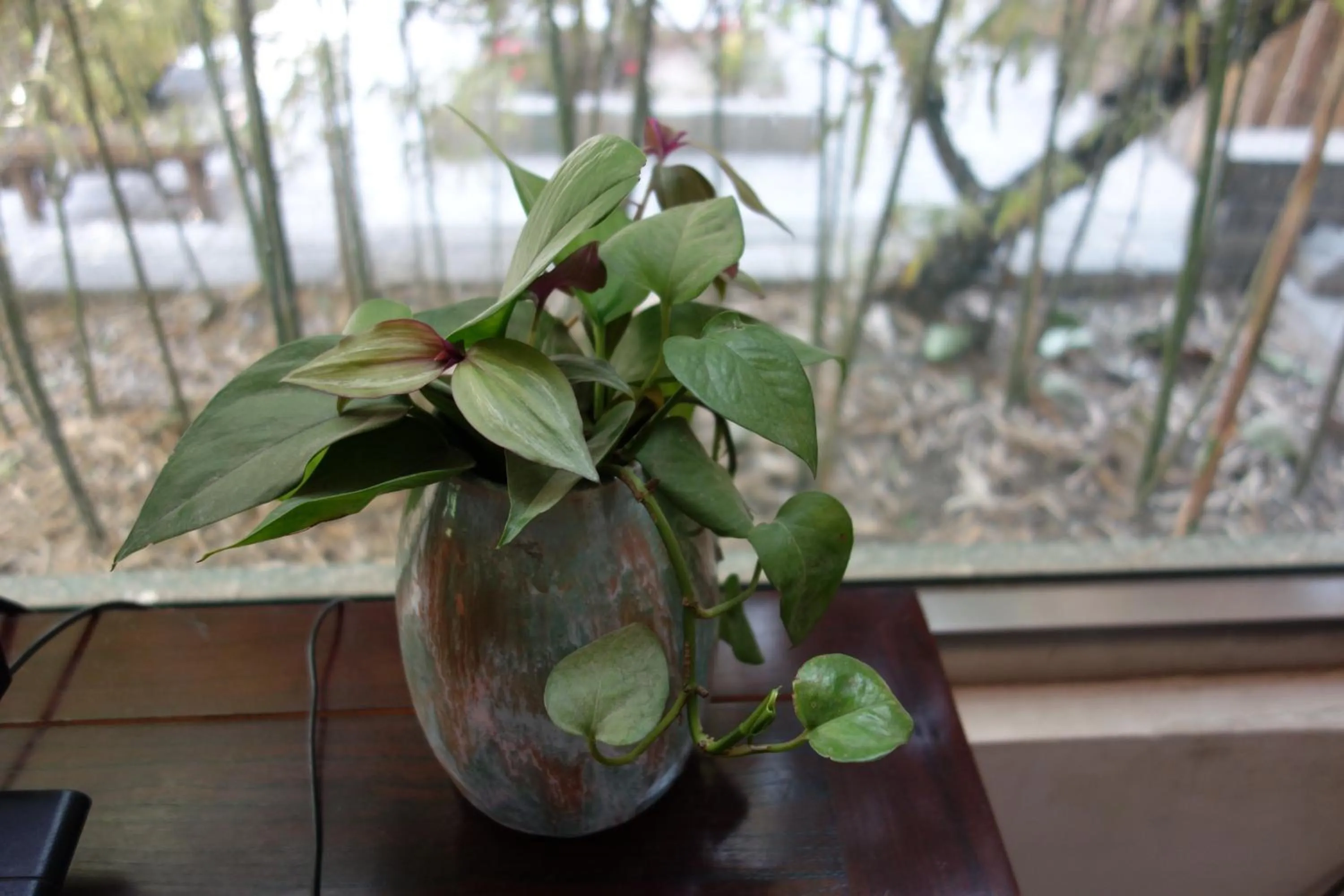 Decorative detail in Ming Courtyard