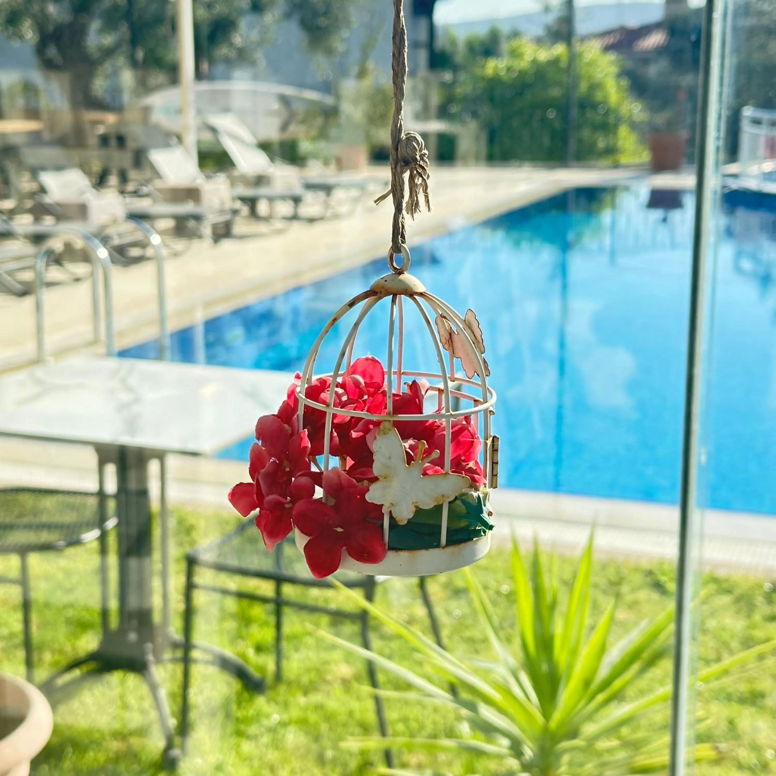 Garden in Imren Han Hotel - Special Category