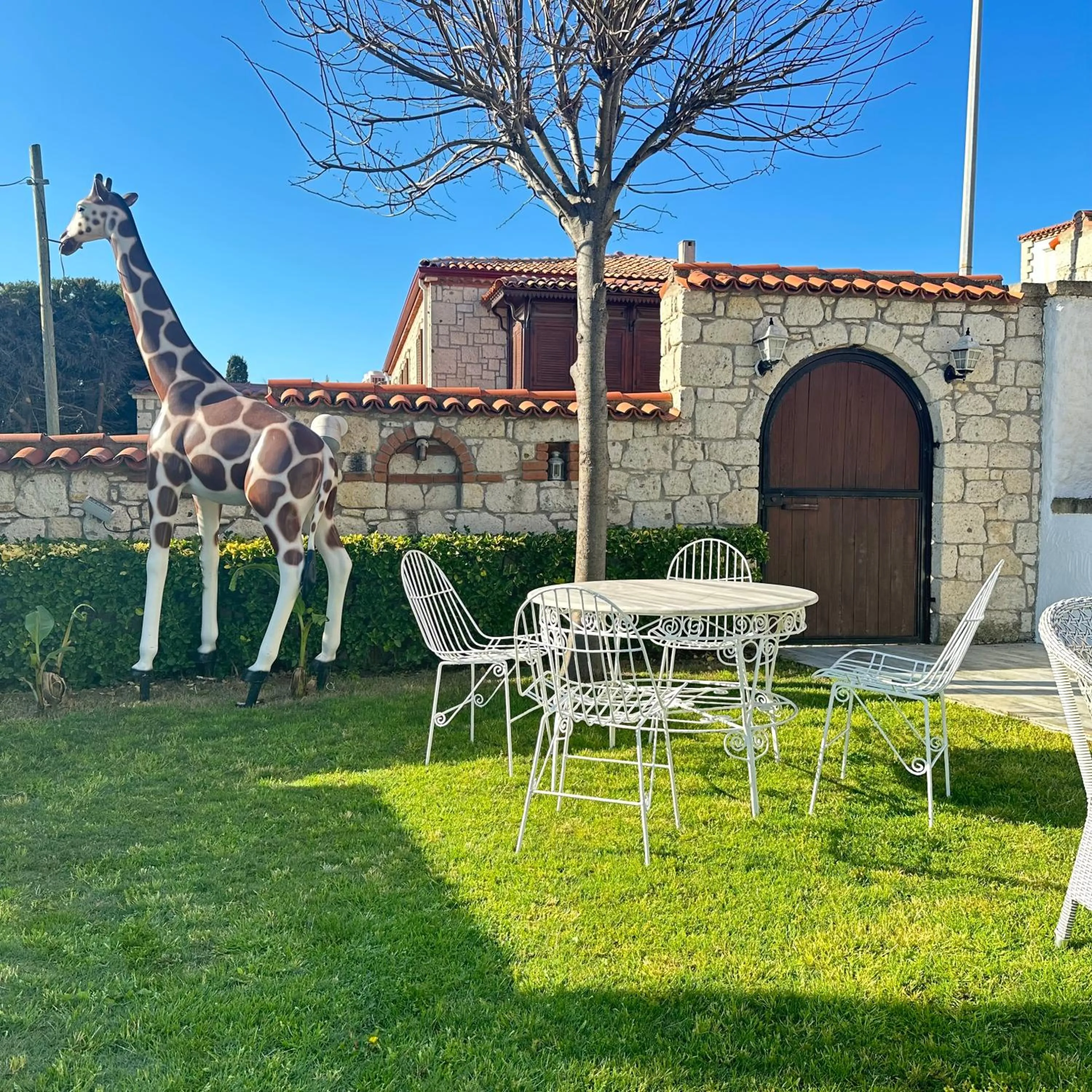 Garden in Imren Han Hotel - Special Category