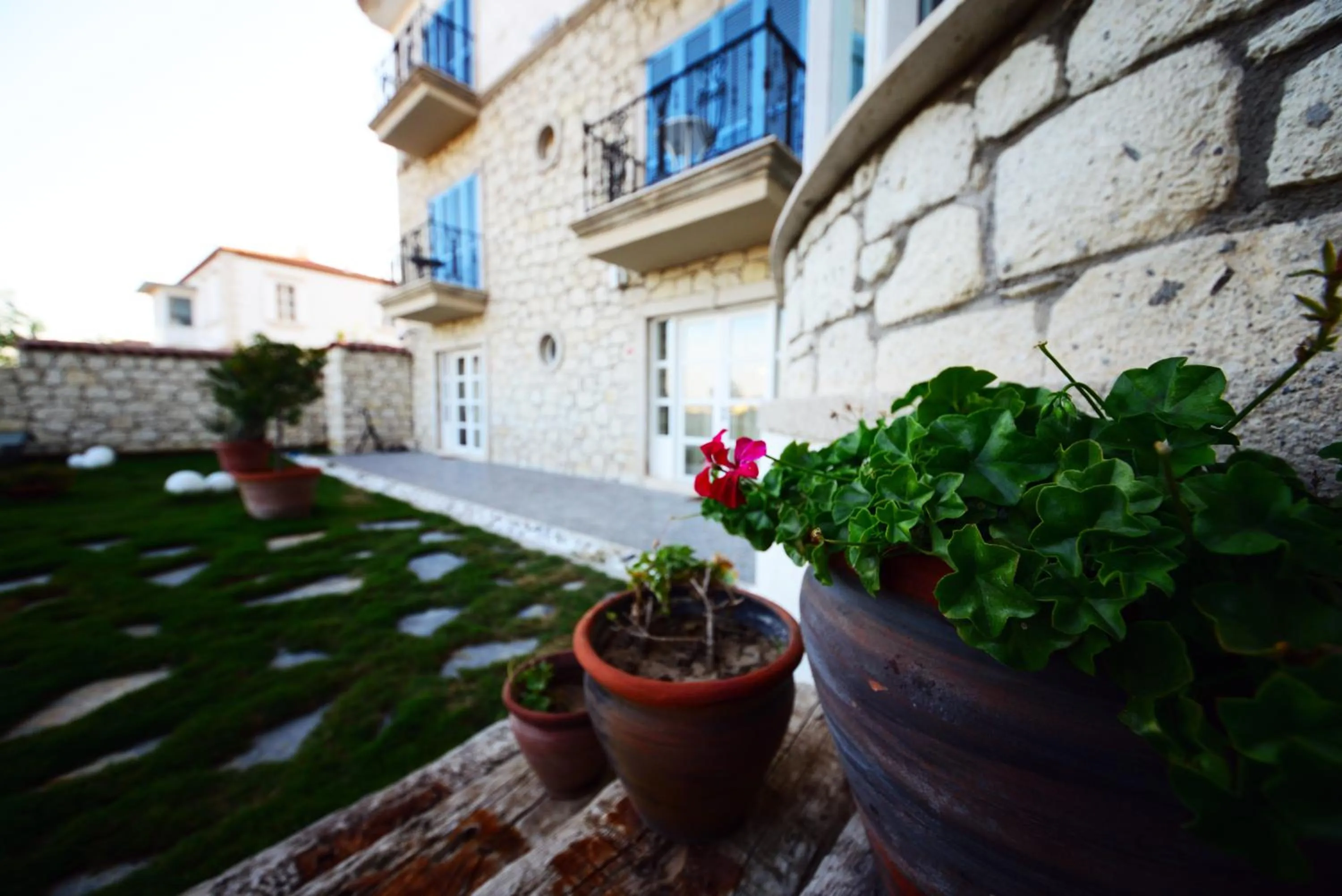 Garden in Imren Han Hotel - Special Category