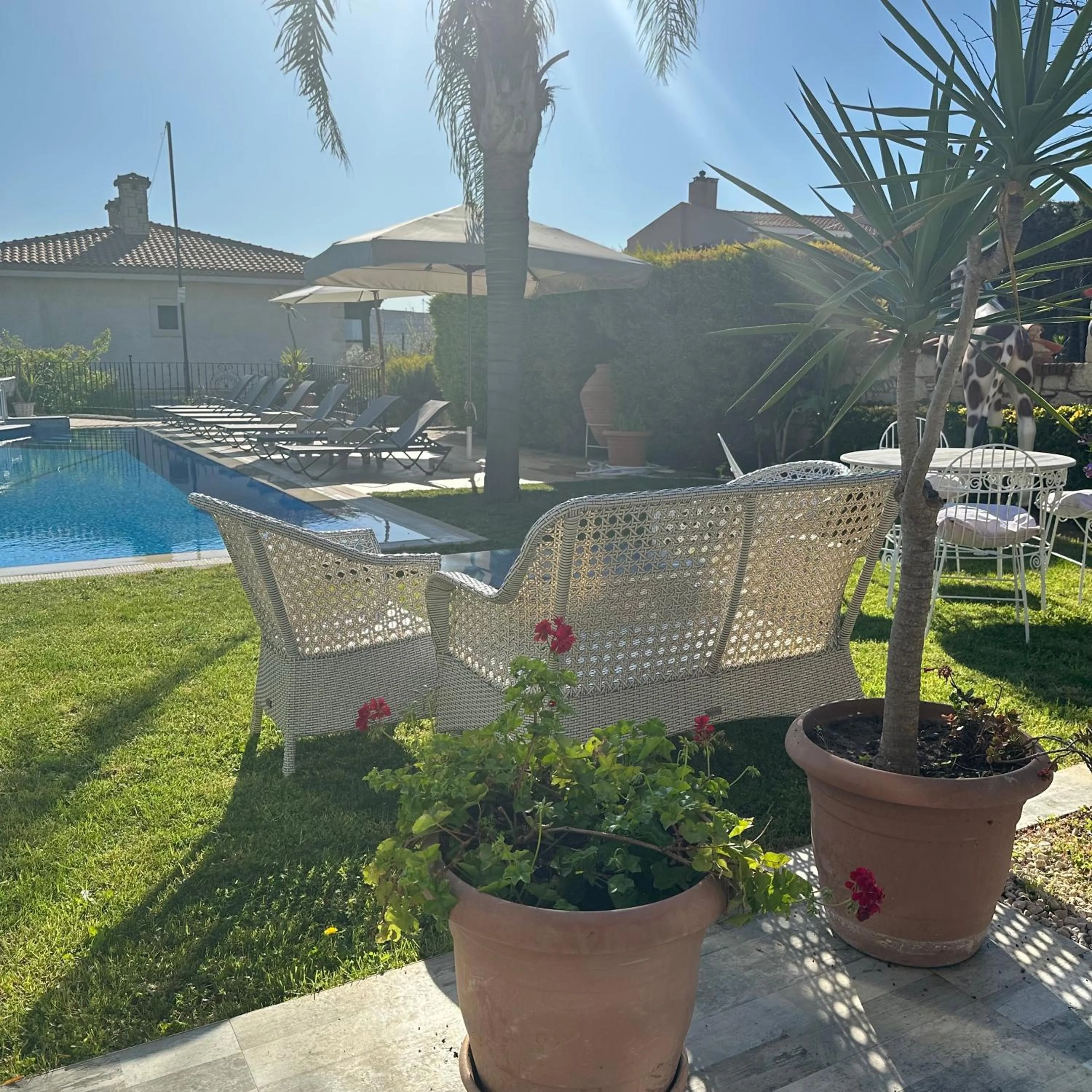 Garden in Imren Han Hotel - Special Category