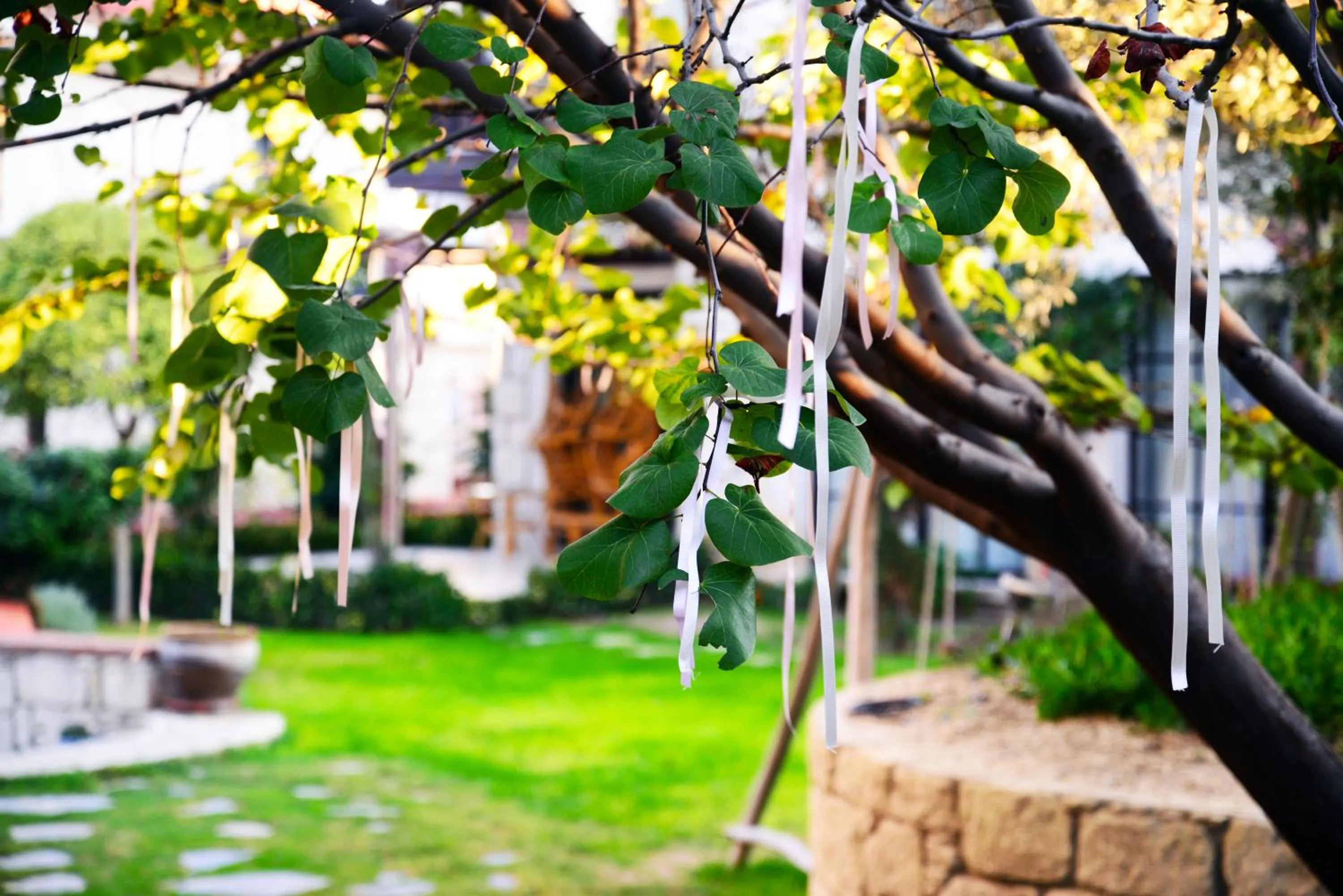 Garden in Imren Han Hotel - Special Category