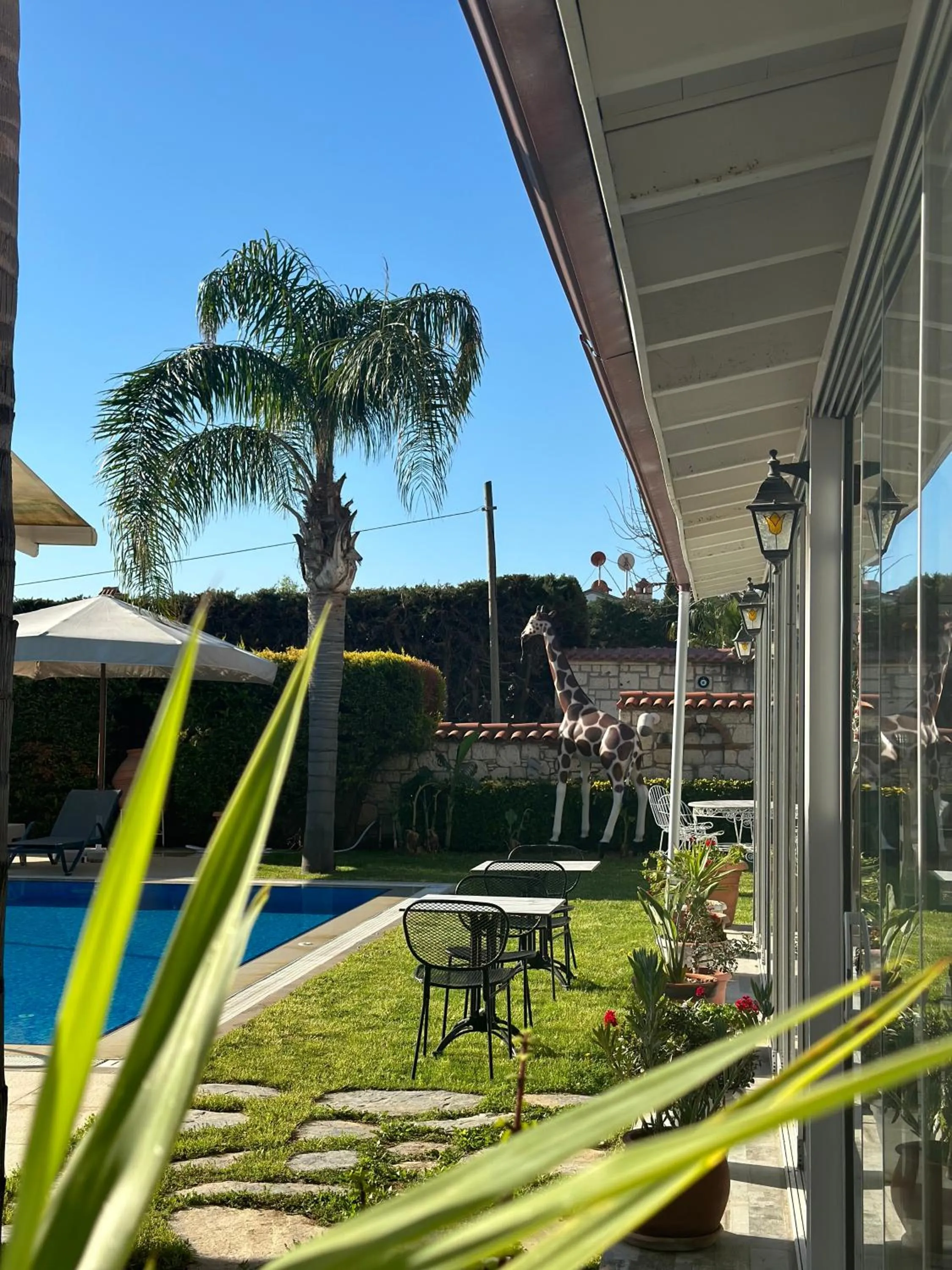 Swimming pool in Imren Han Hotel - Special Category