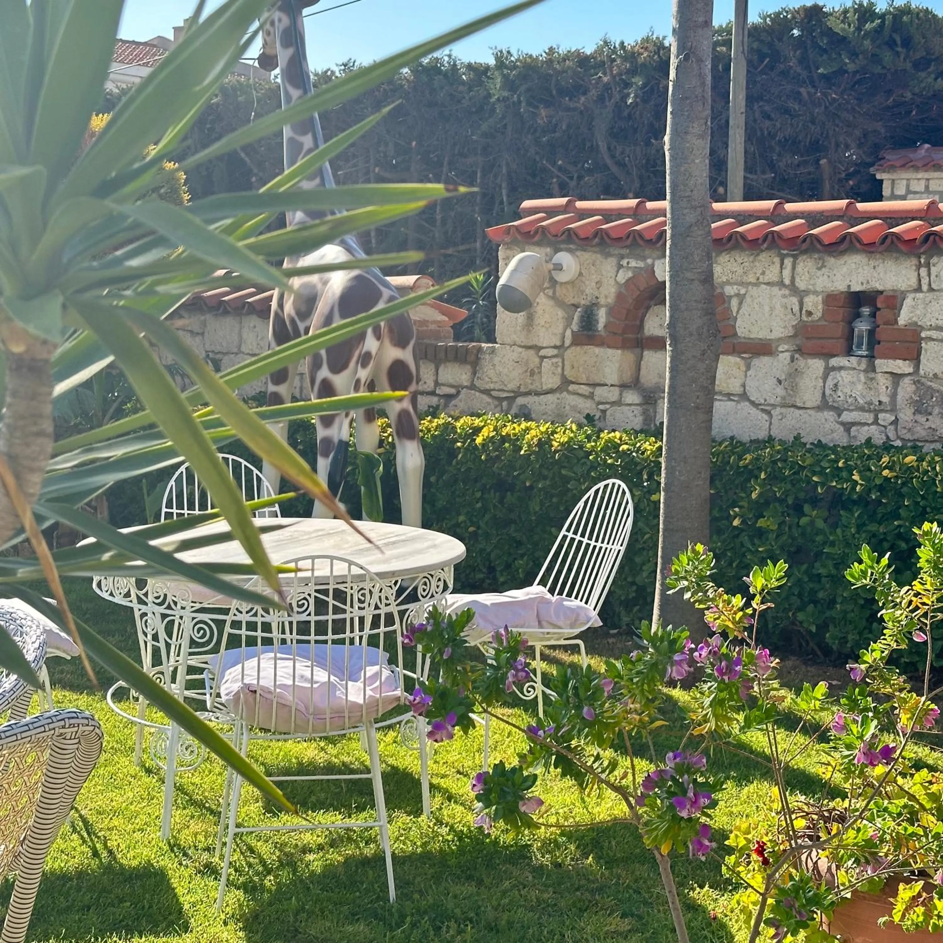 Garden in Imren Han Hotel - Special Category