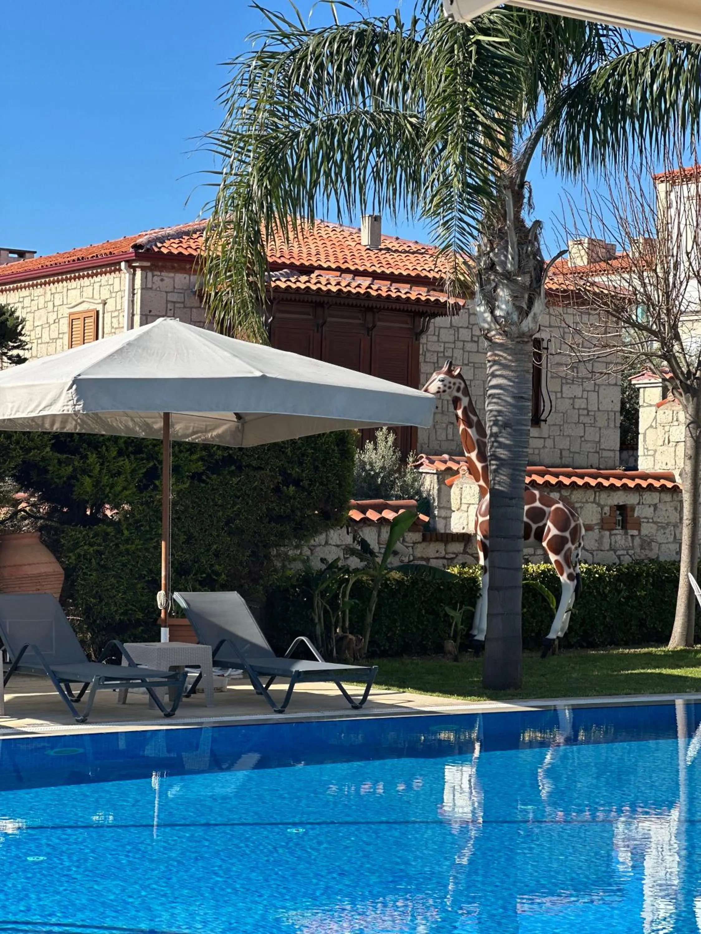 Swimming pool in Imren Han Hotel - Special Category