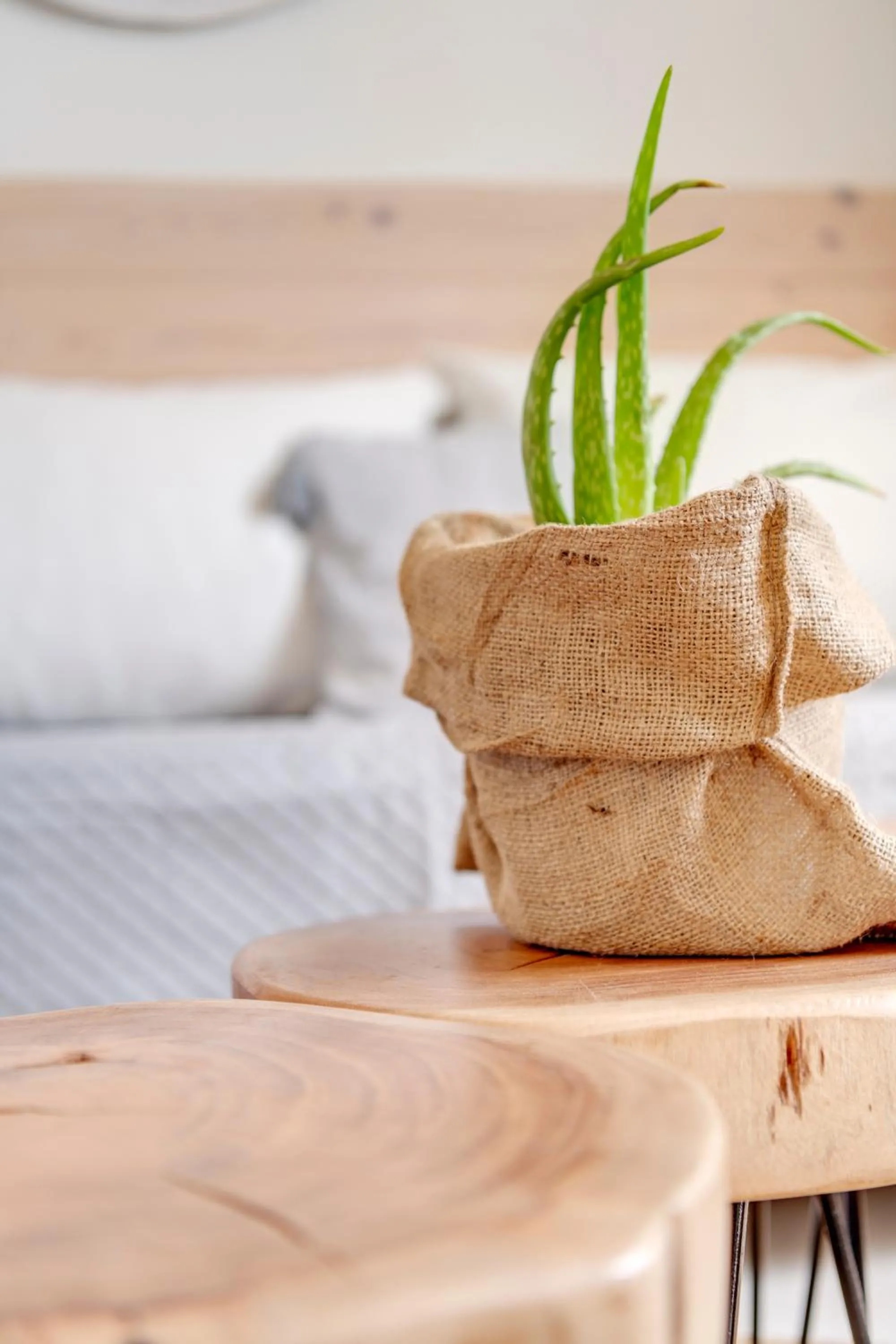 Food and drinks, Bed in Faros Resort