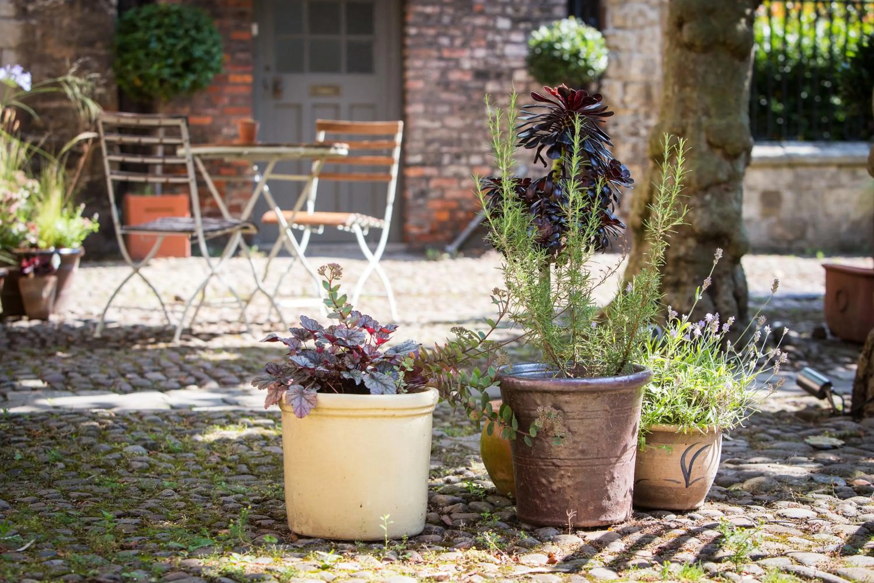 Facade/entrance in Grays Court Hotel