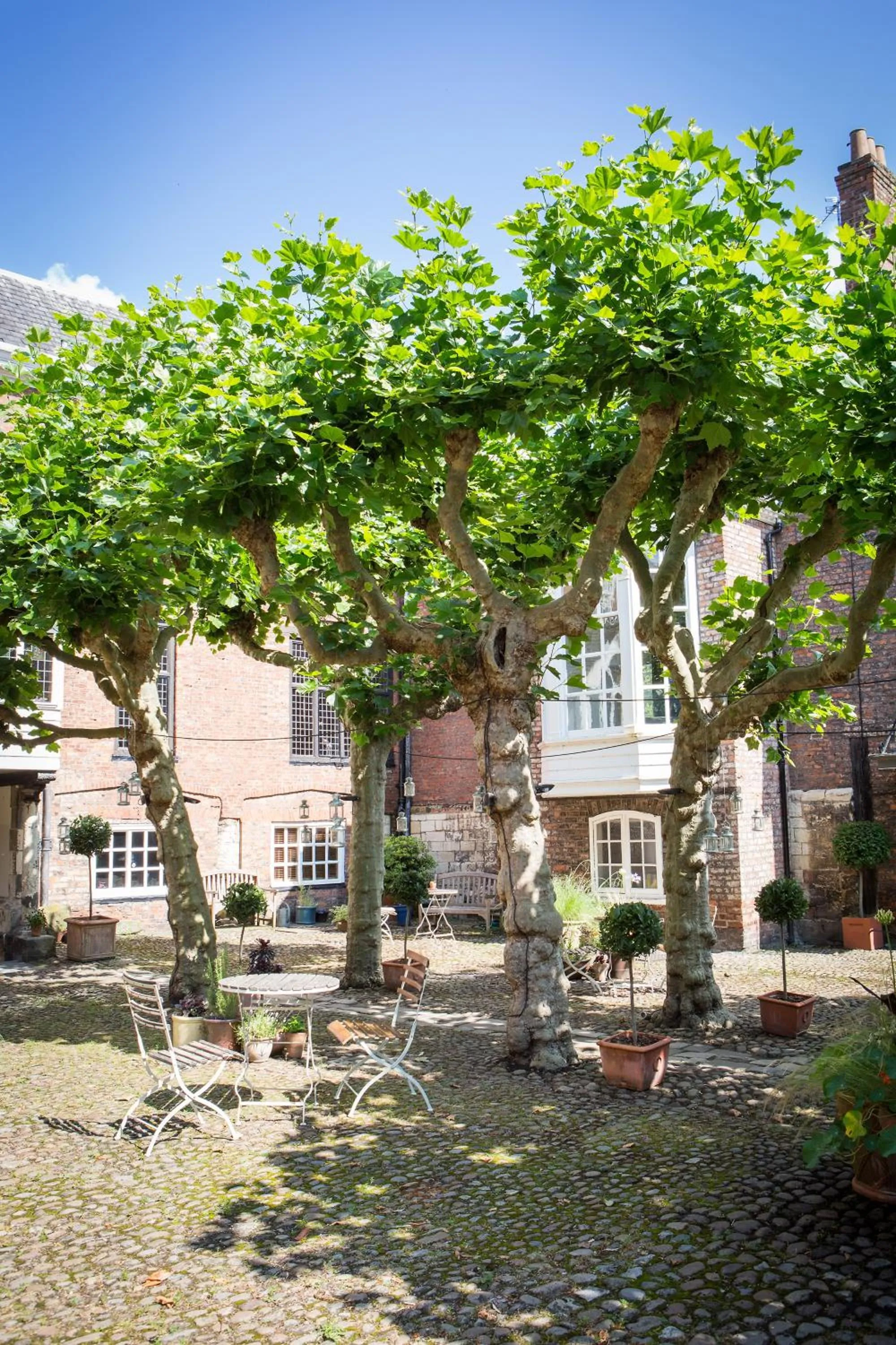 Facade/entrance in Grays Court Hotel