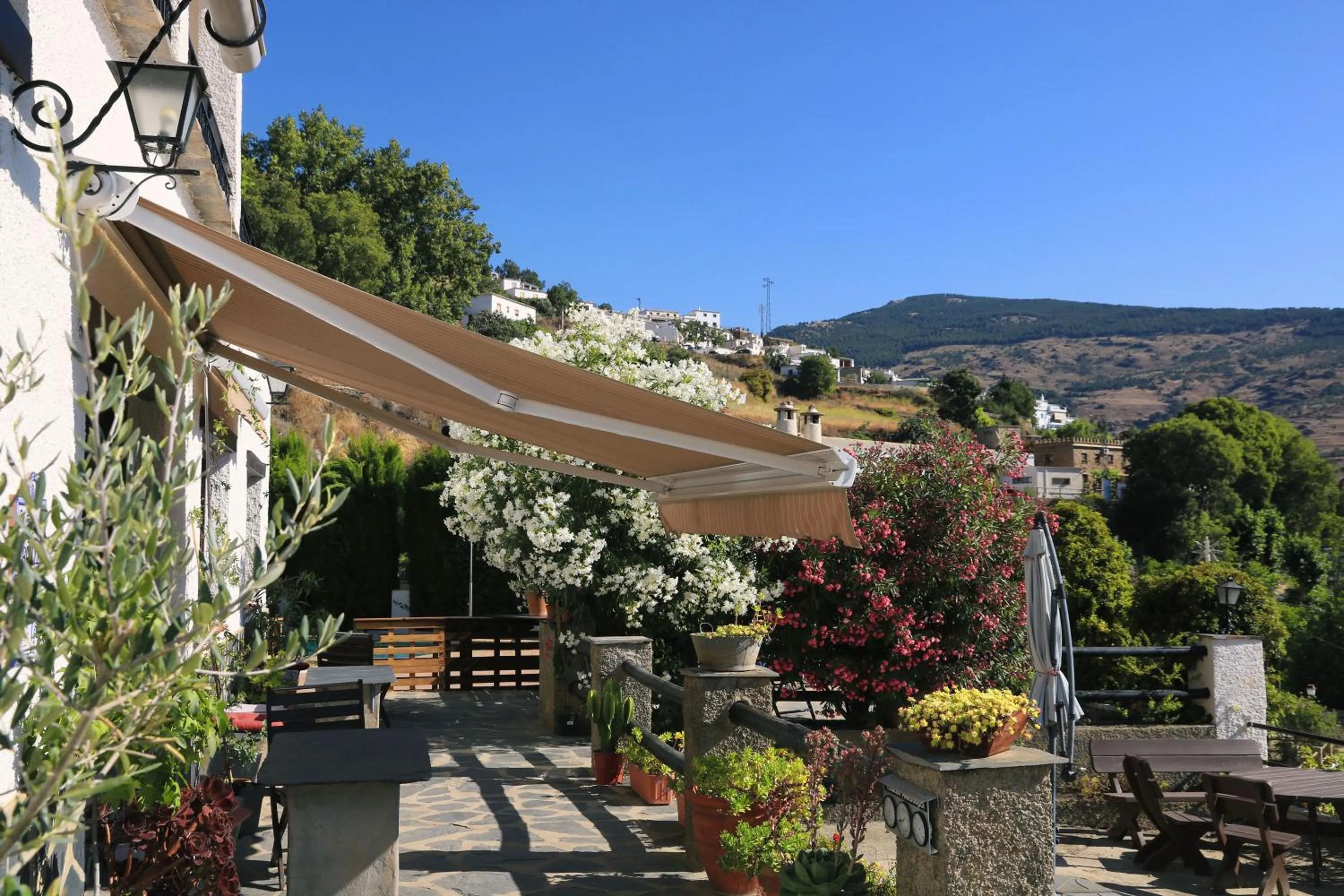 Garden in Hotel los Bérchules