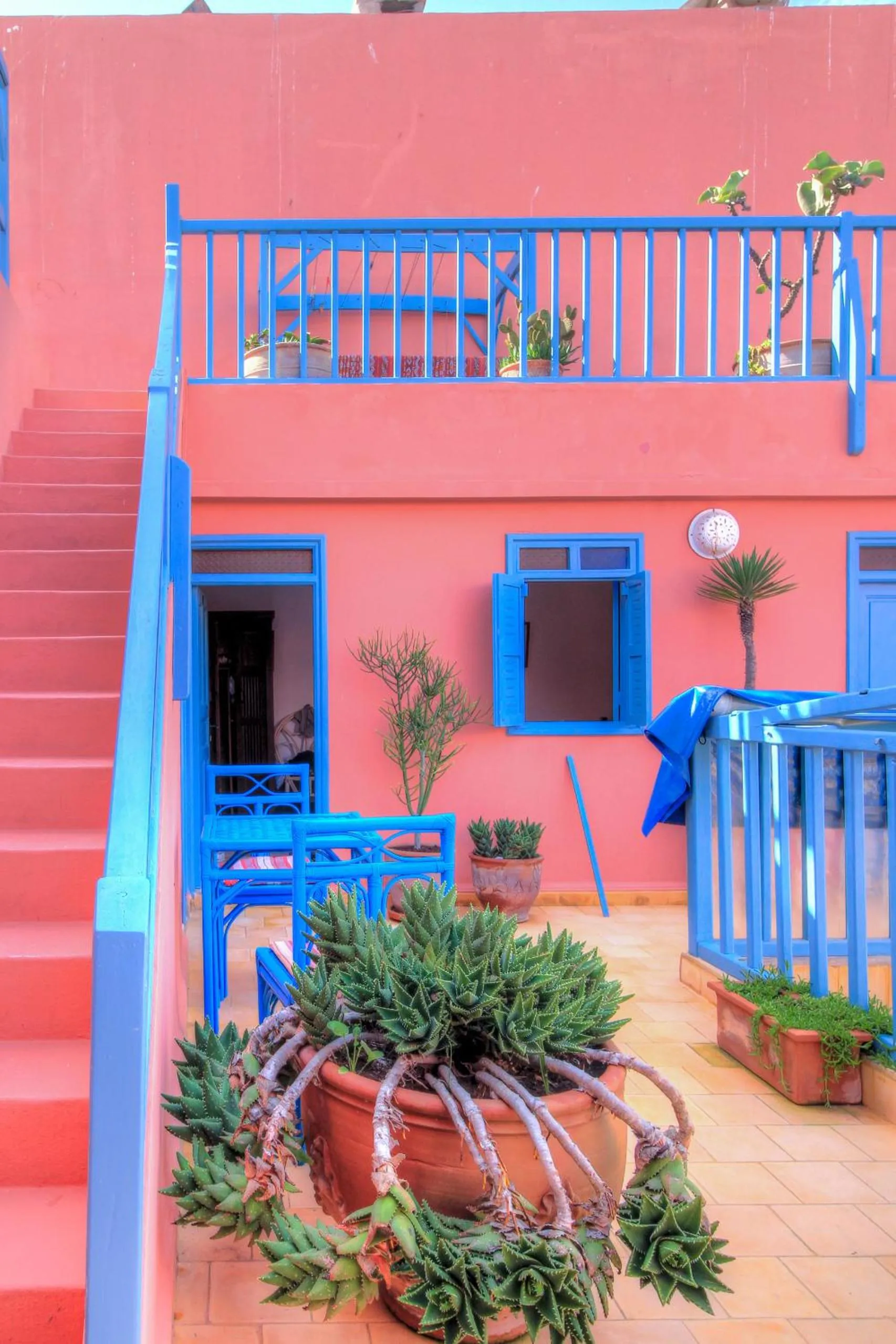 Garden in Les Matins Bleus