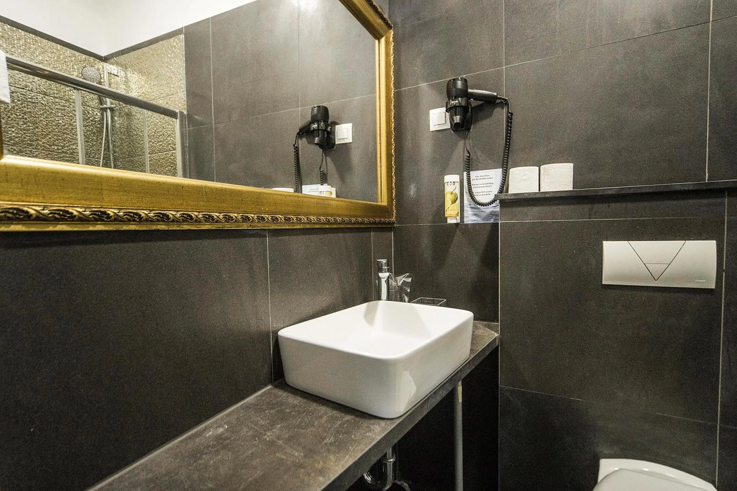 Toilet in Hotel Plaza