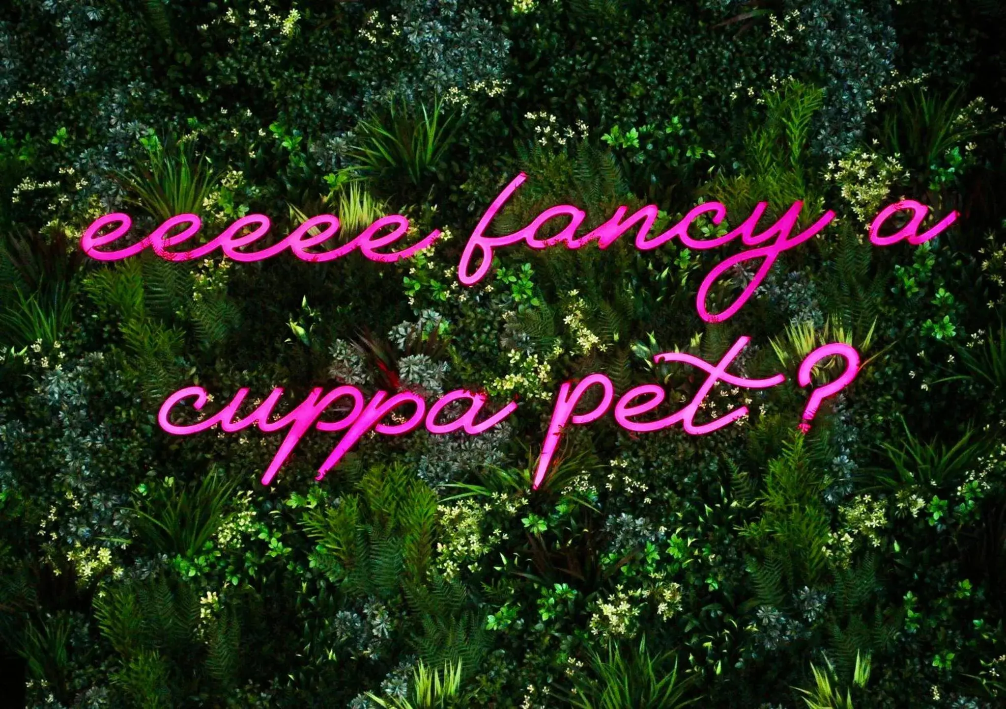 Lobby or reception in Sandman Signature Newcastle Hotel Lobby or reception in Sandman Signature Newcastle Hotel