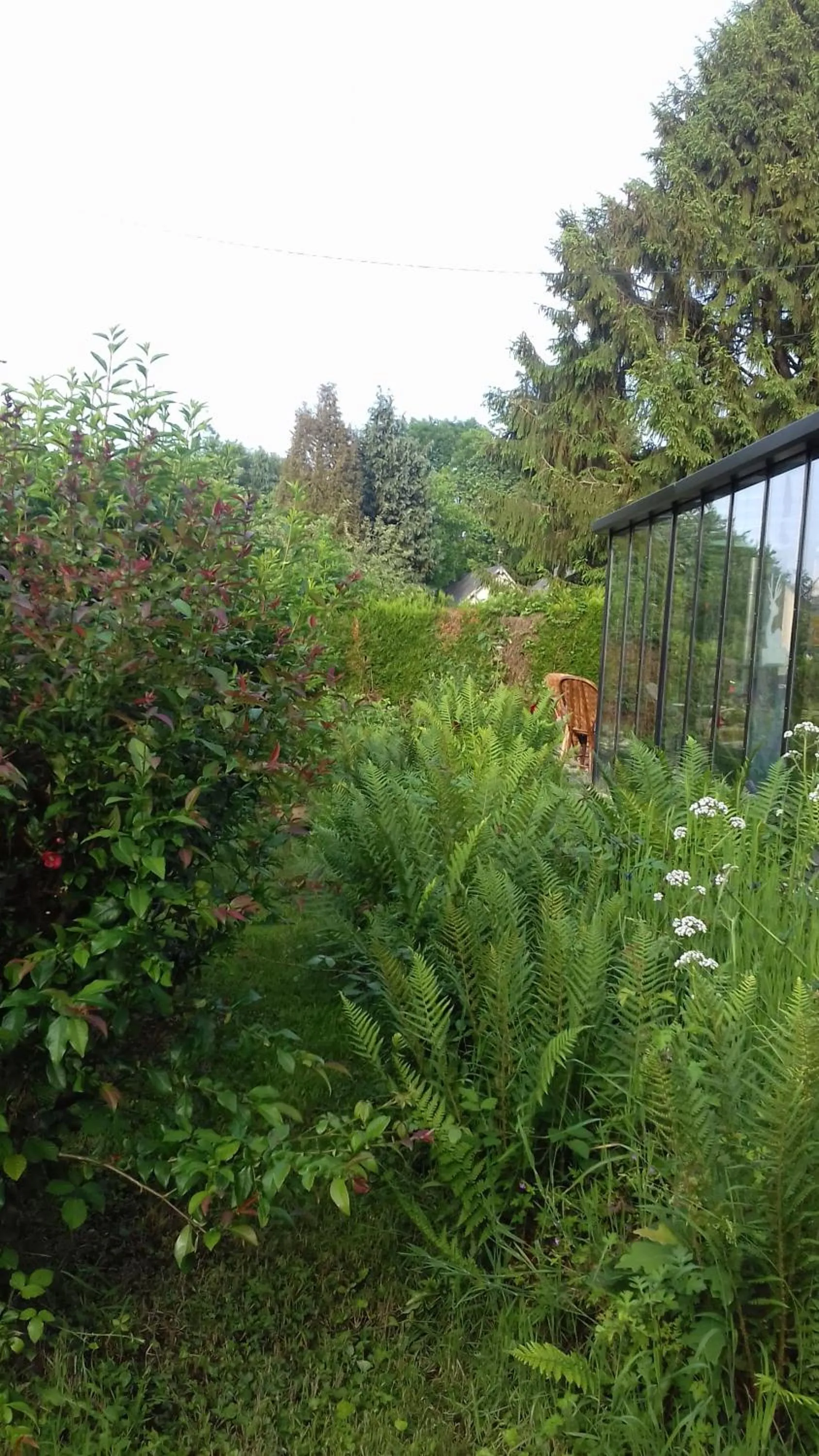 Property building in La martre