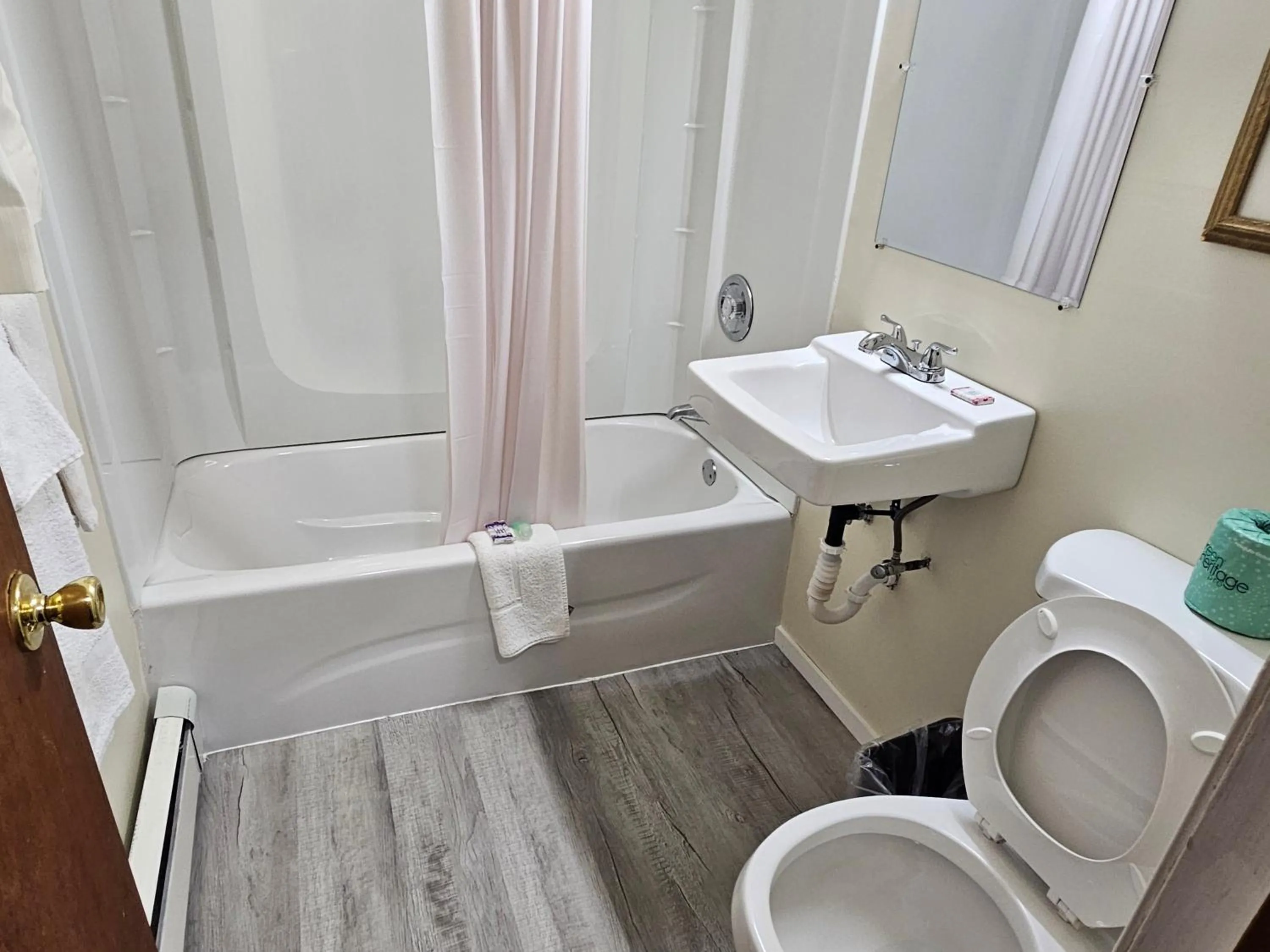 Bathroom in Alpenhaus Motel