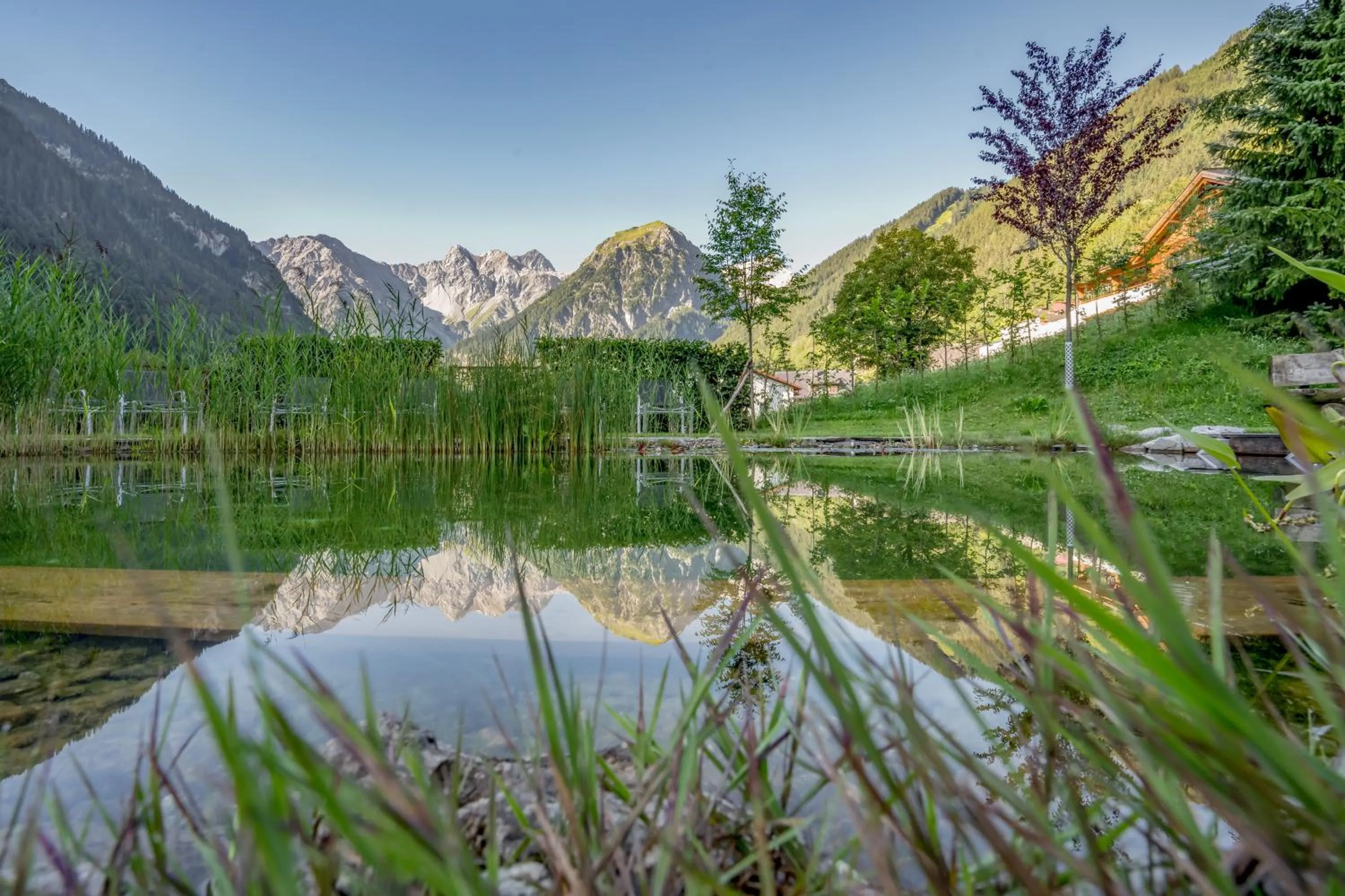 Garden in Alpenhotel Zimba