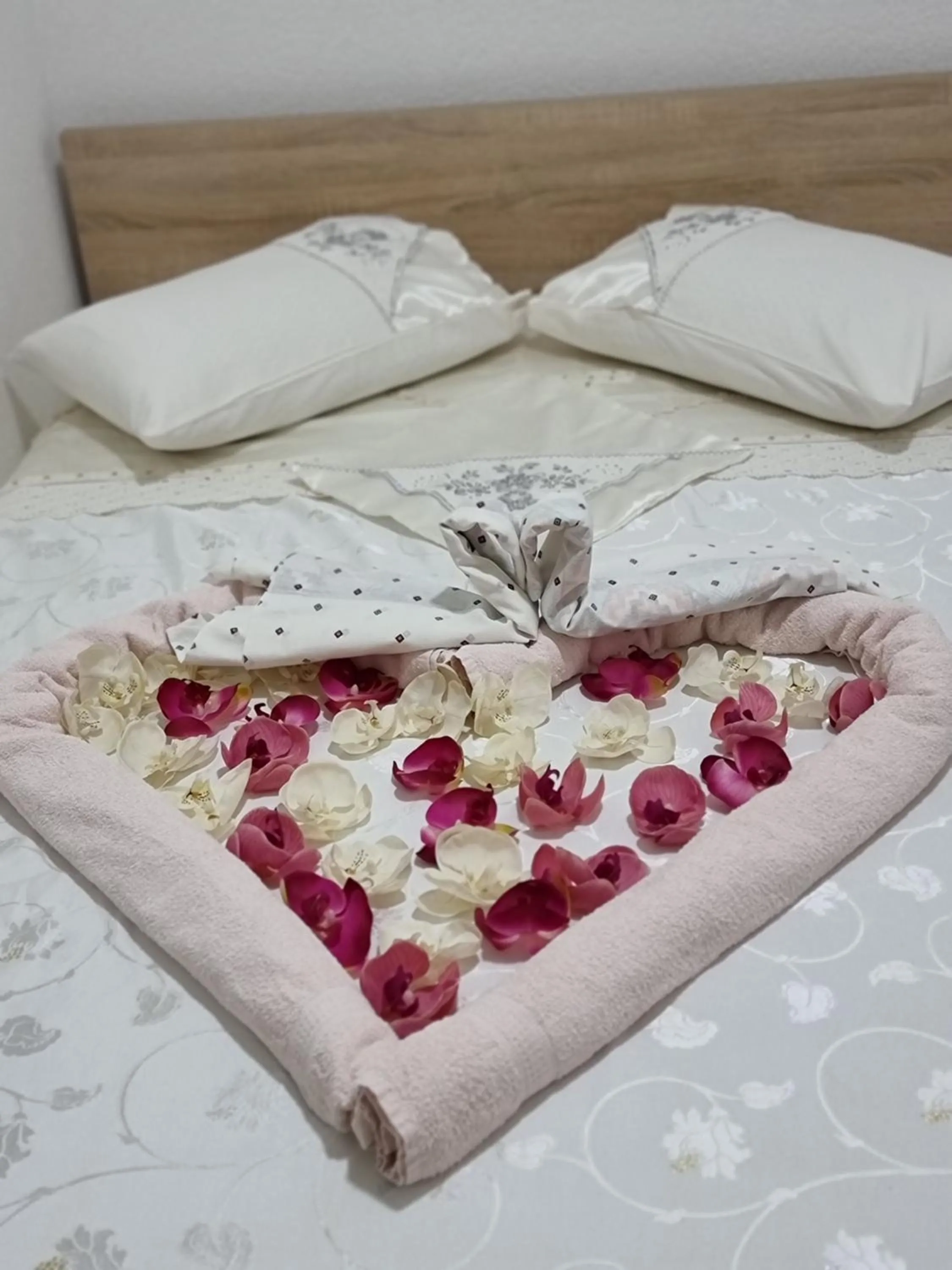 Bed in Hostel BellaVista