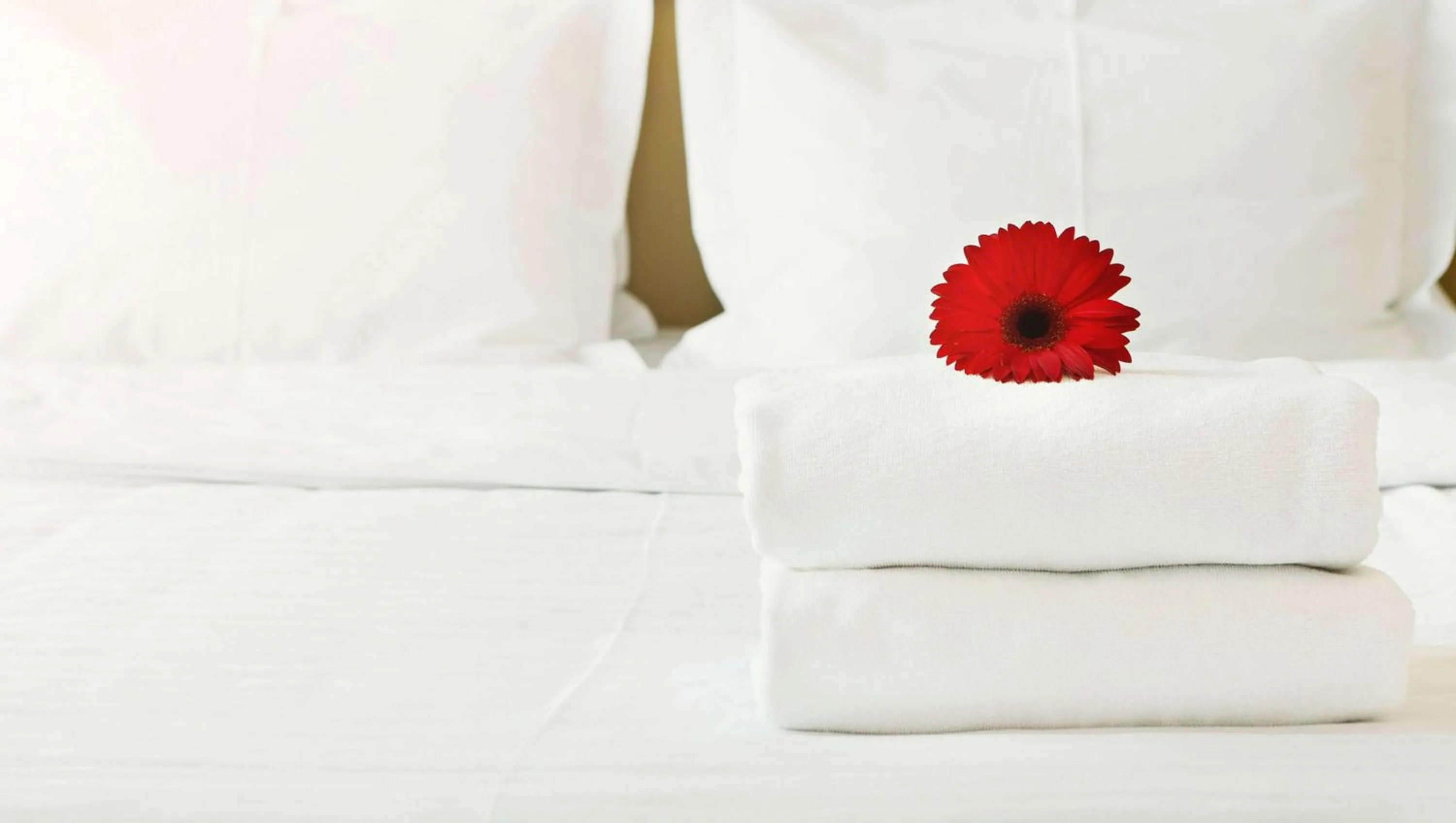 Photo of the whole room in American Inn & Suites Childress