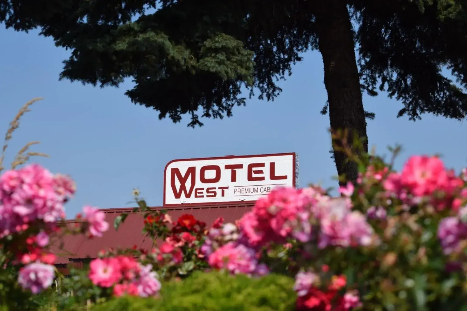 Motel West