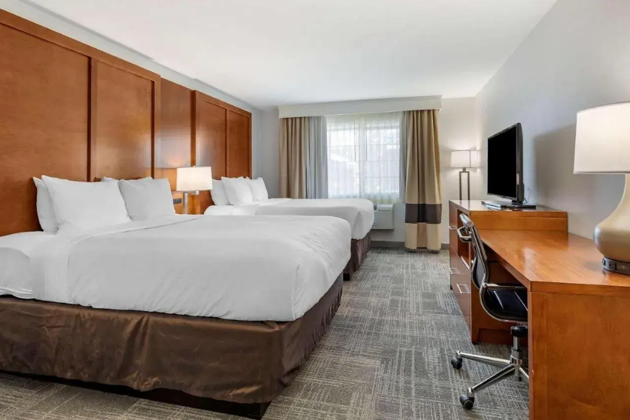 Queen Suite with Sofa Bed - Non-Smoking (No Pets Allowed) in Comfort Suites Golden West on Evergreen Parkway Queen Suite with Sofa Bed - Non-Smoking (No Pets Allowed) in Comfort Suites Golden West on Evergreen Parkway