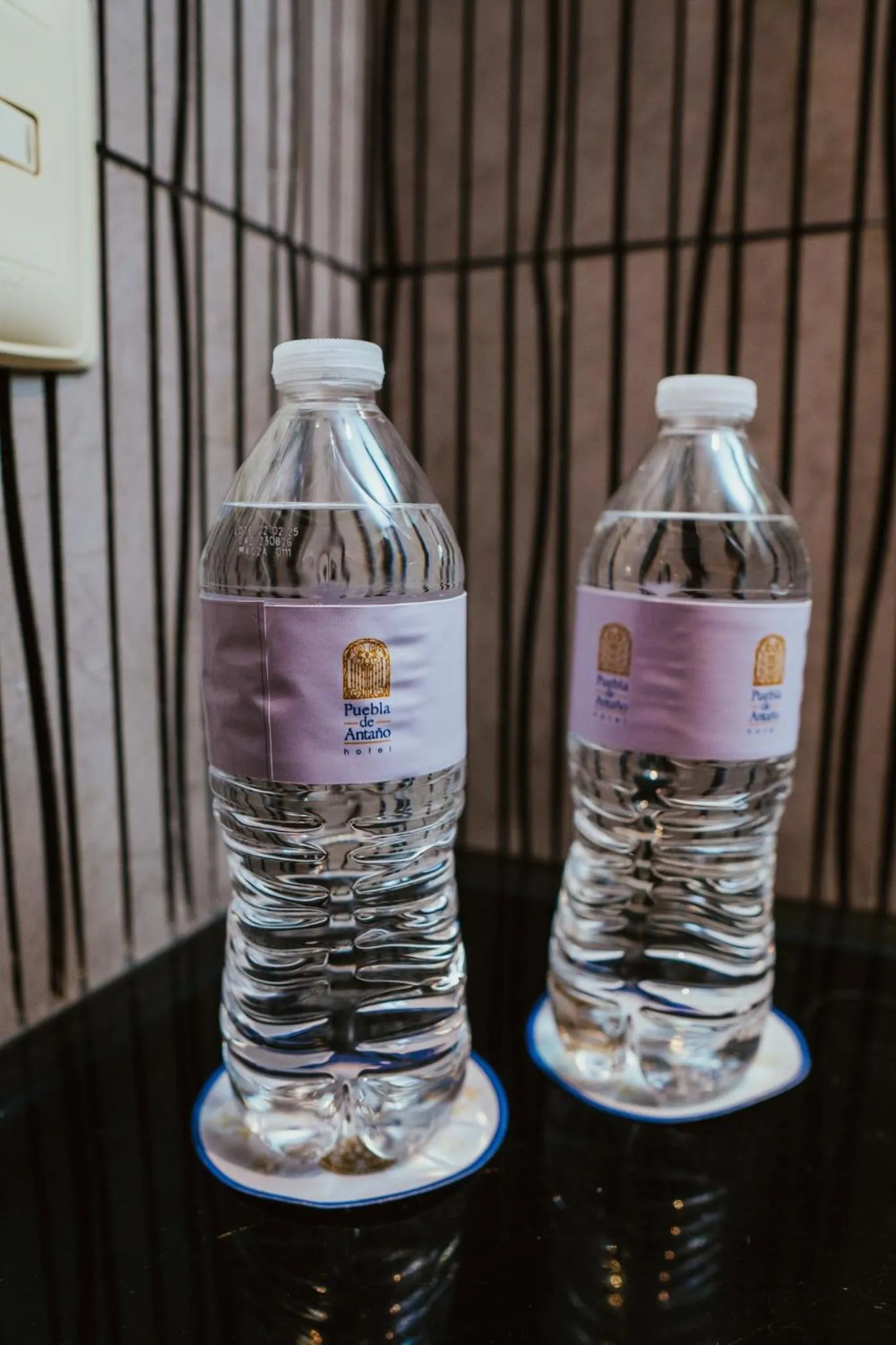 Hotel Puebla de Antaño