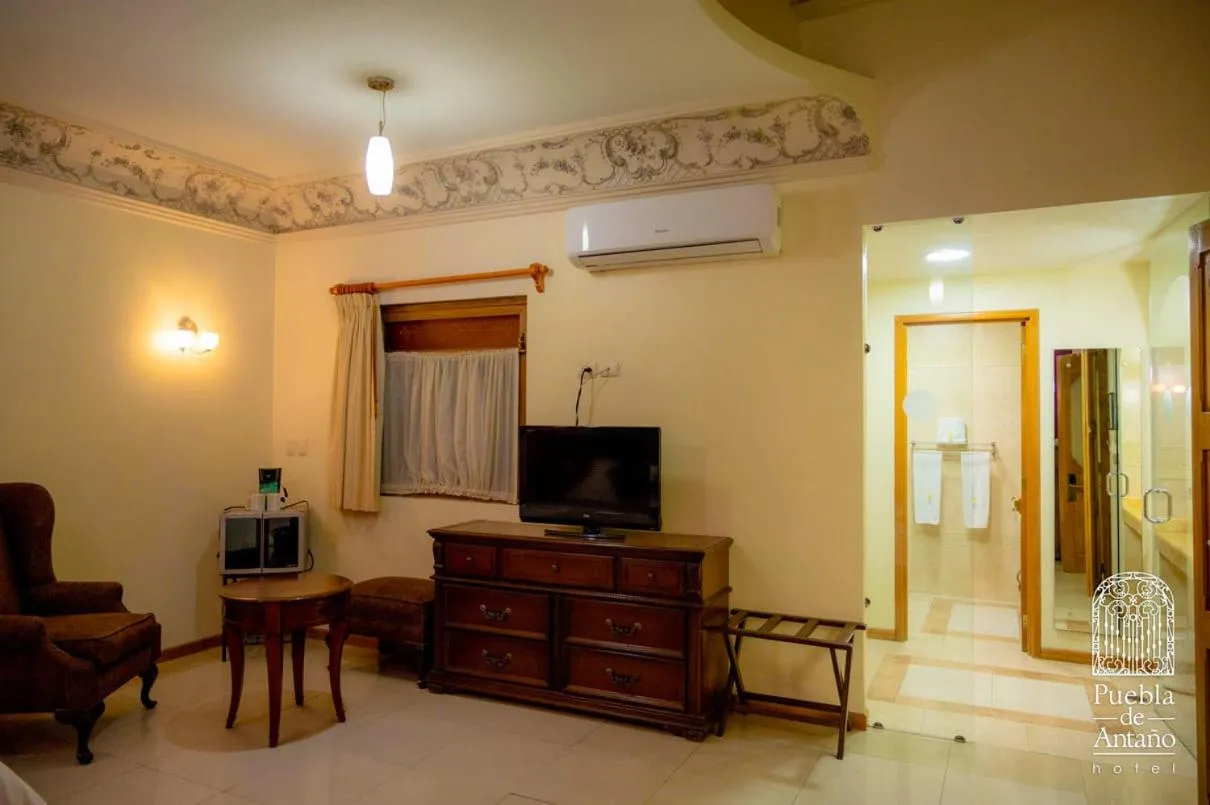 TV and multimedia in Hotel Puebla de Antaño