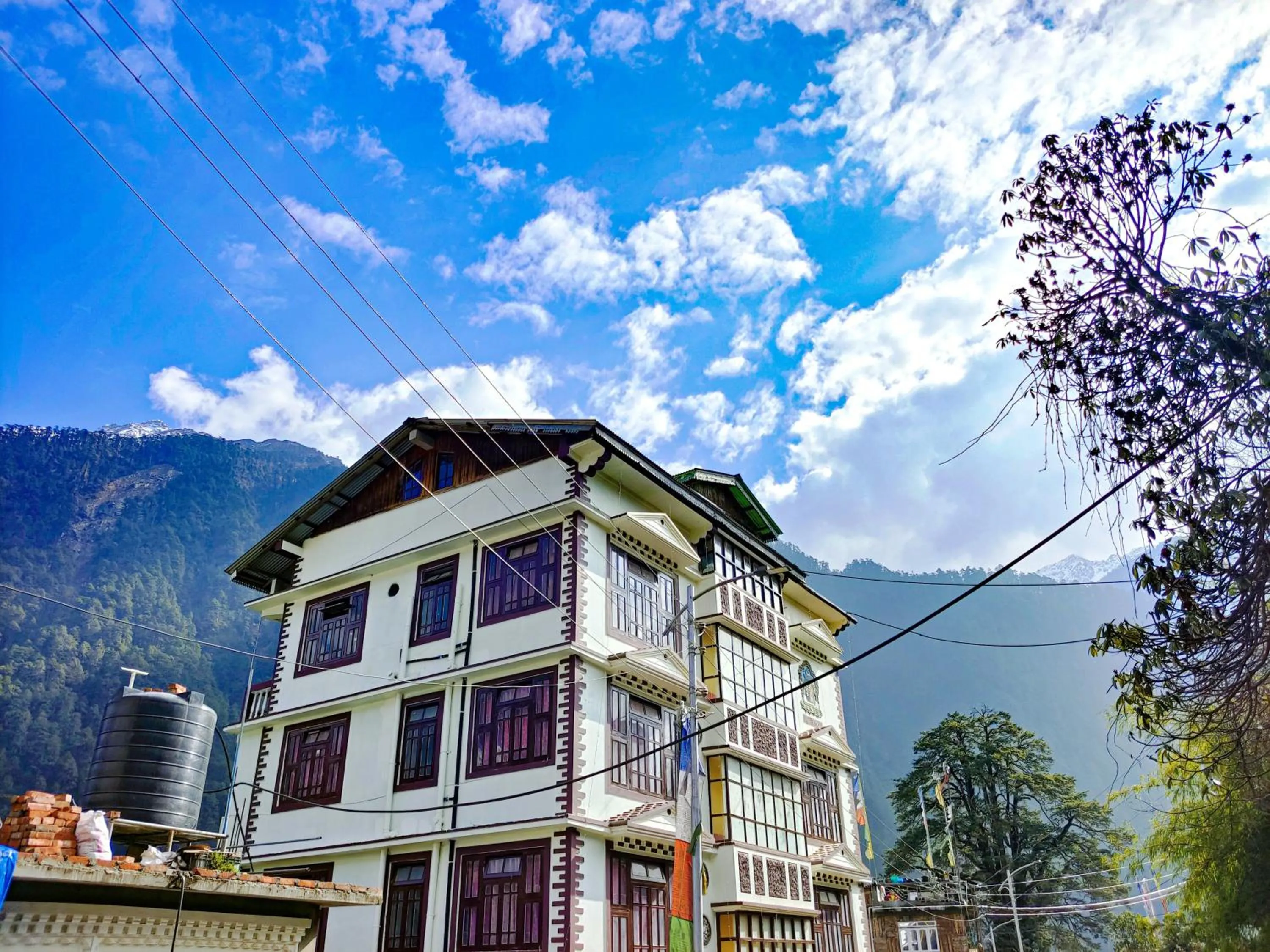 Property building in Rufina Blue Pine