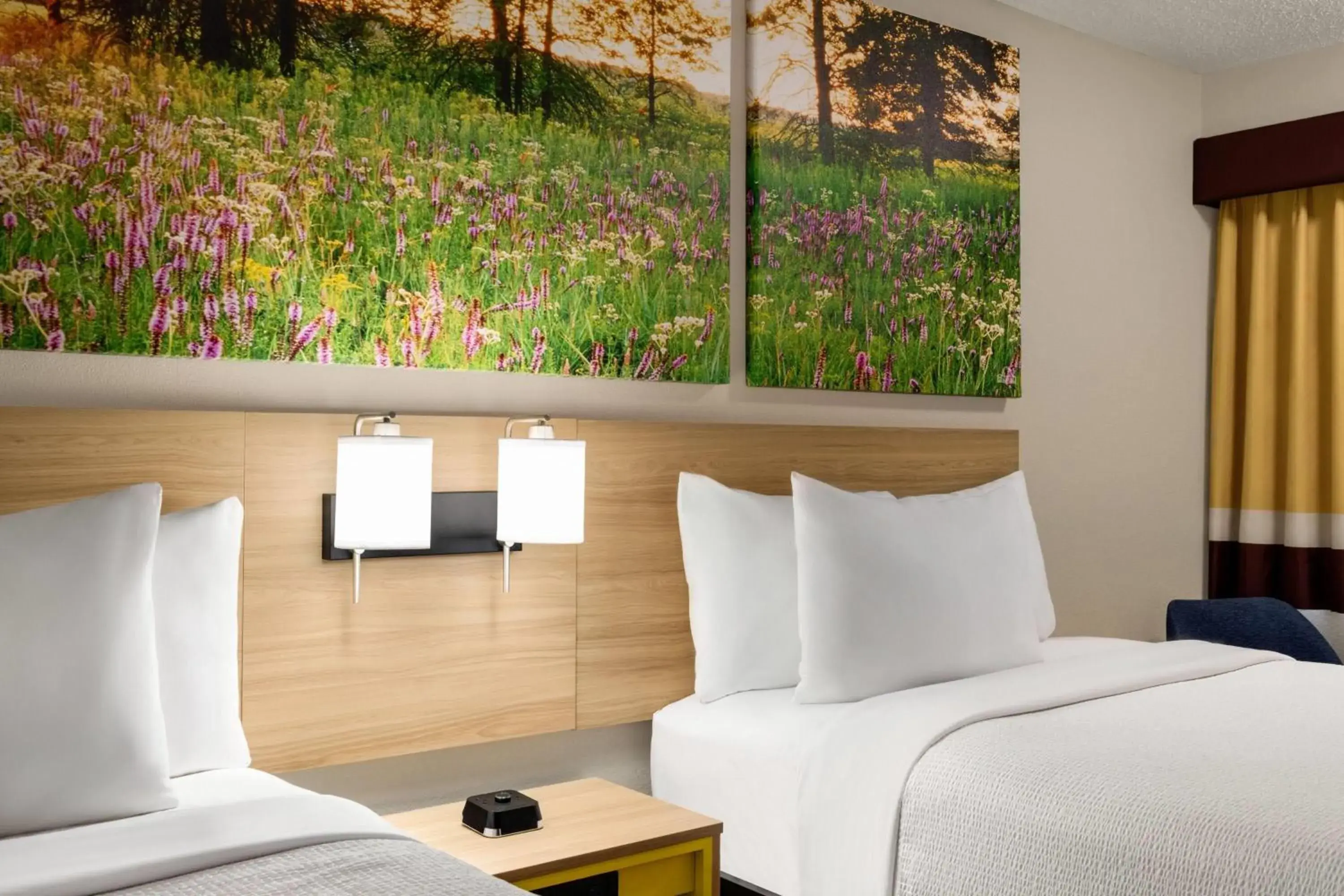 Photo of the whole room, Bed in Days Inn by Wyndham Cartersville Photo of the whole room, Bed in Days Inn by Wyndham Cartersville