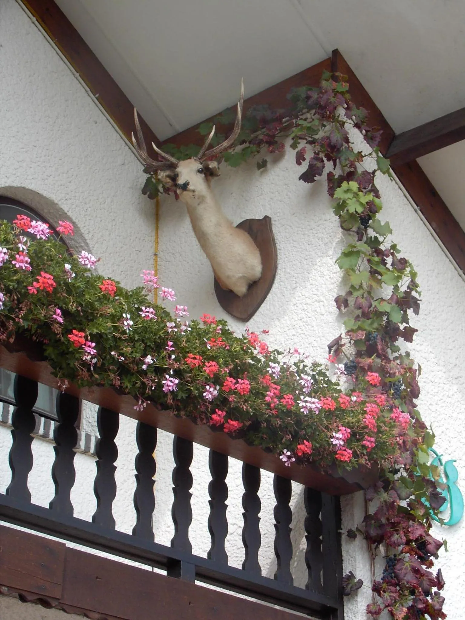 Property building in gasthof lederhose