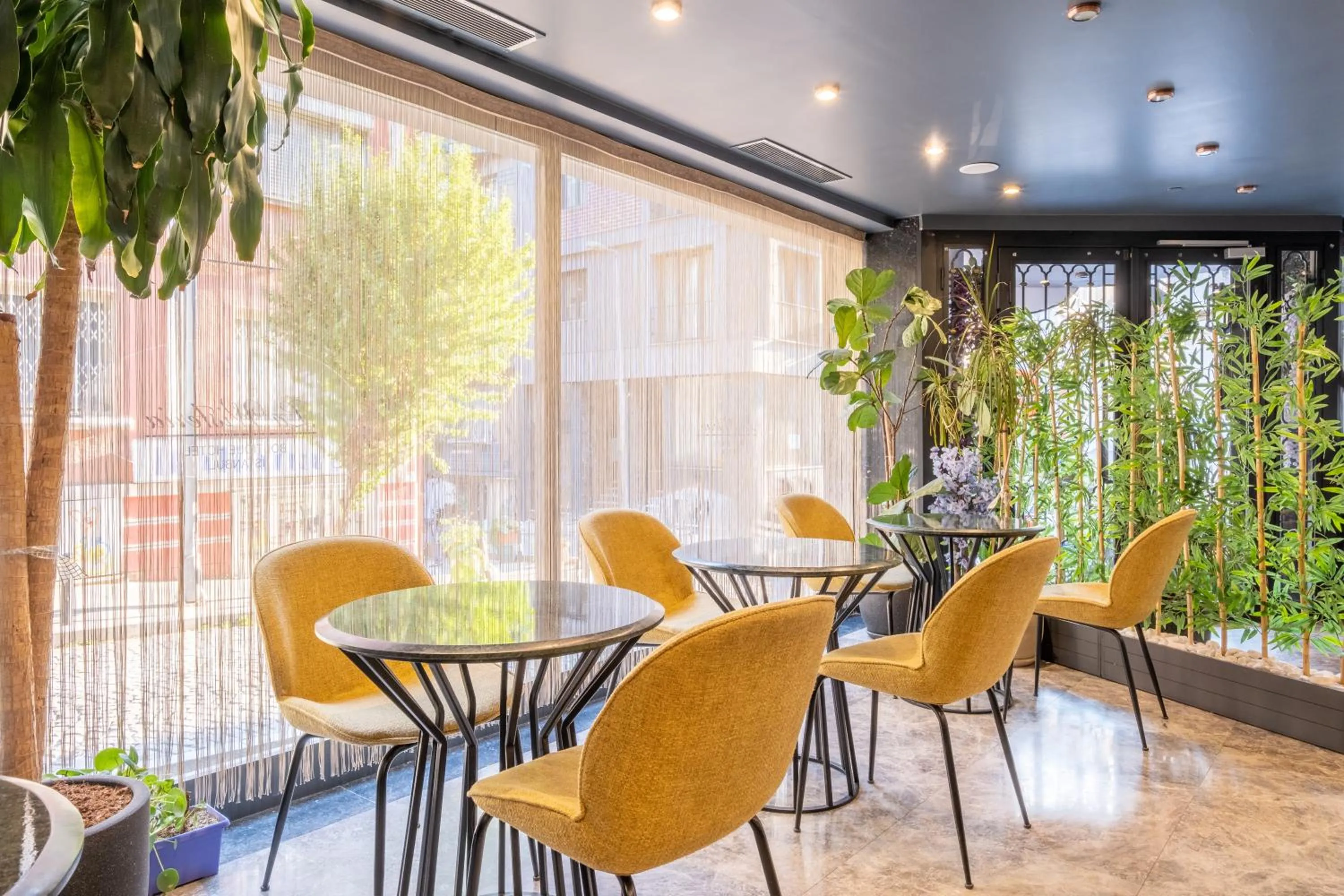 Patio in La Wisteria Boutique Hotel Istanbul