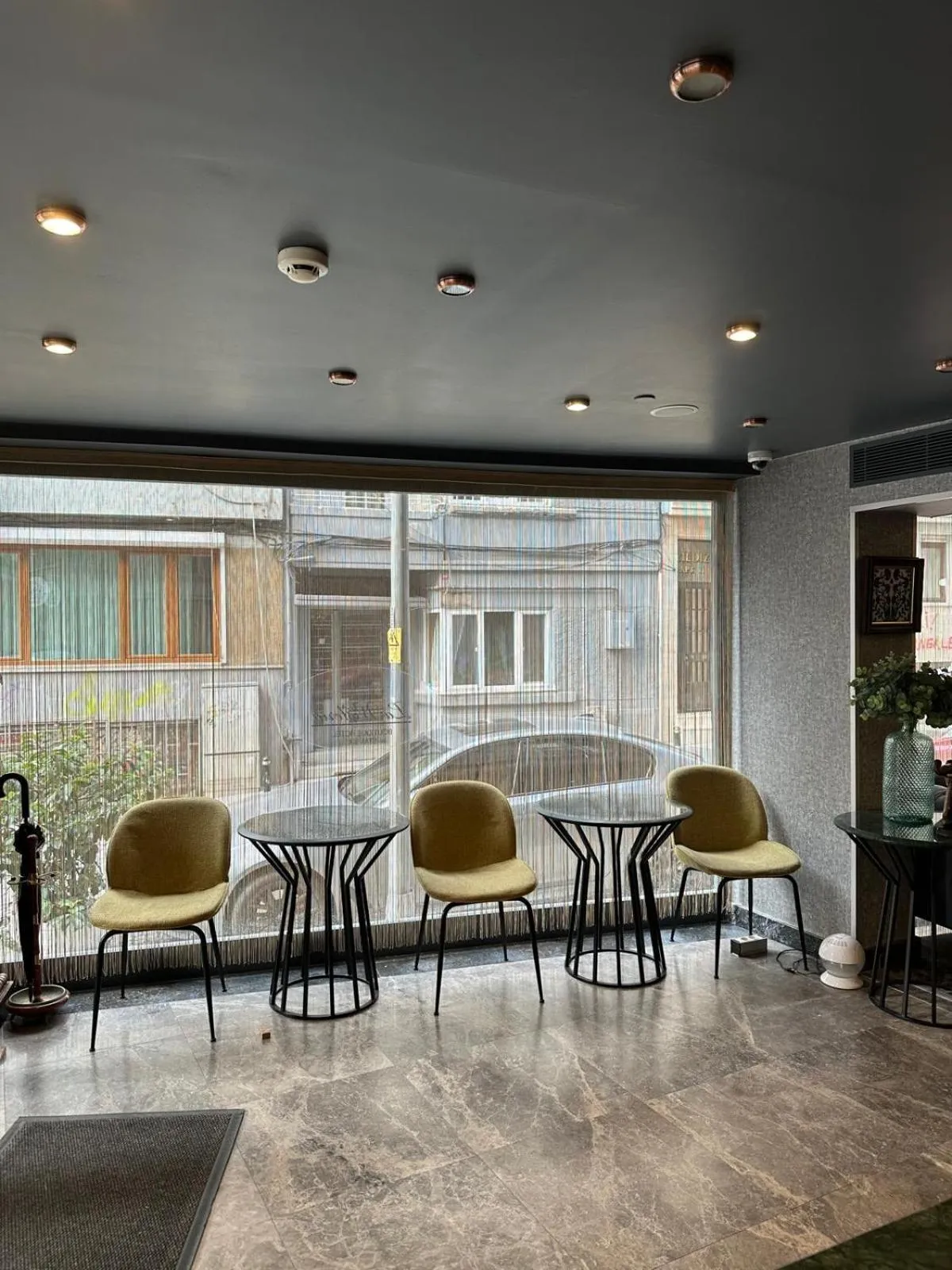 Area and facilities in La Wisteria Boutique Hotel Istanbul