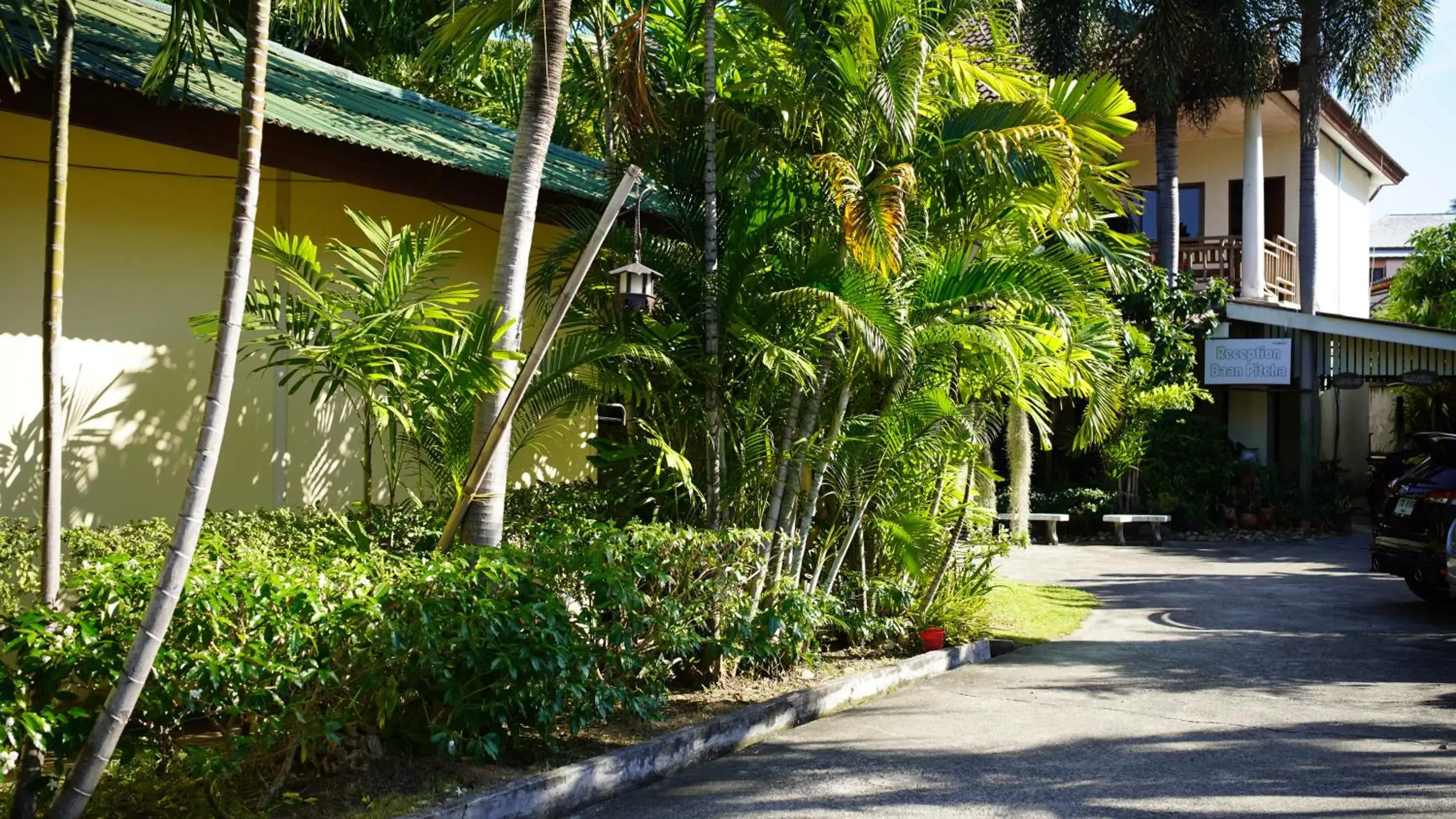 Property building in Baan Pitcha บ้านพิชชา Property building in Baan Pitcha บ้านพิชชา