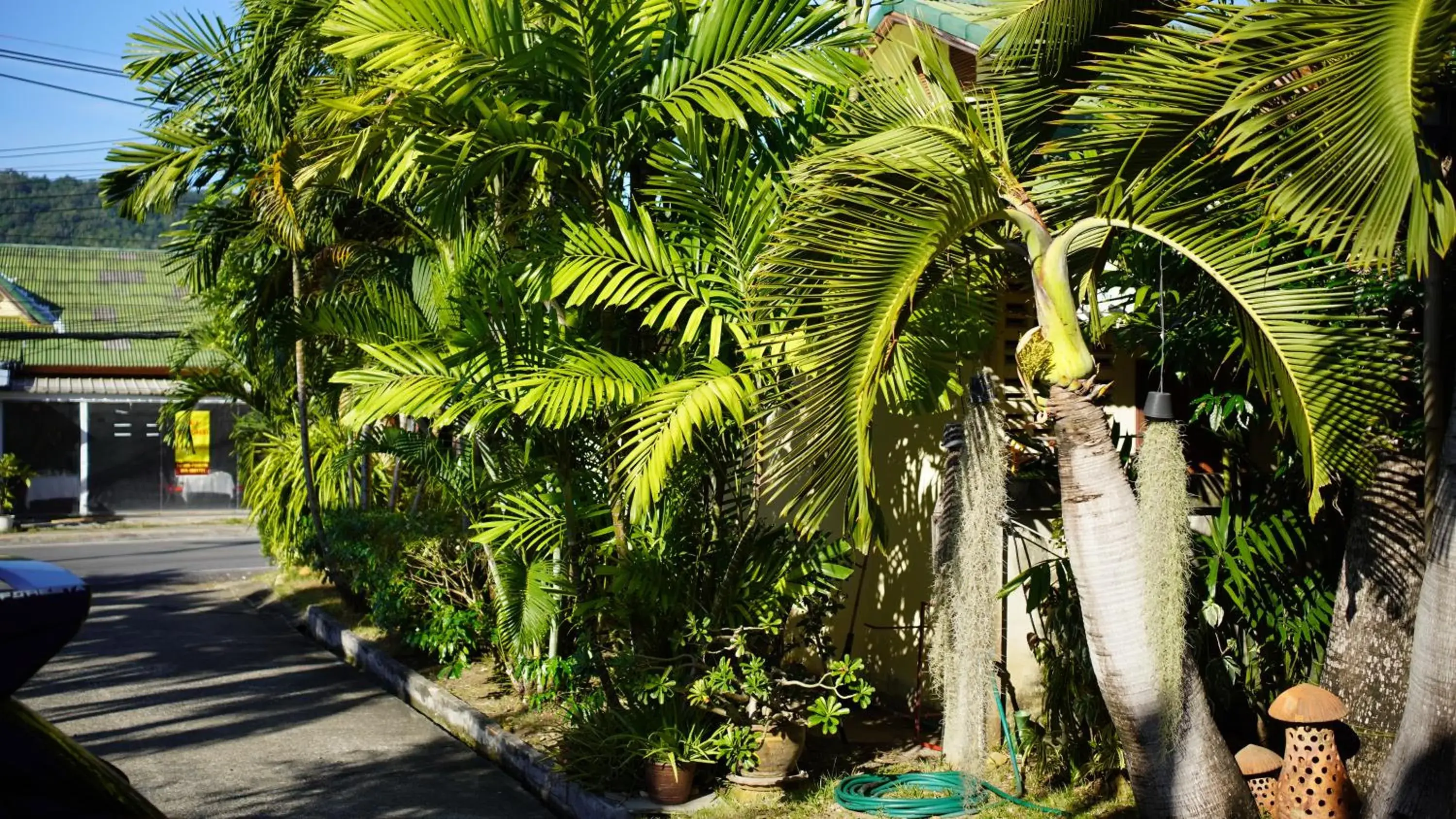 Property building in Baan Pitcha บ้านพิชชา Property building in Baan Pitcha บ้านพิชชา