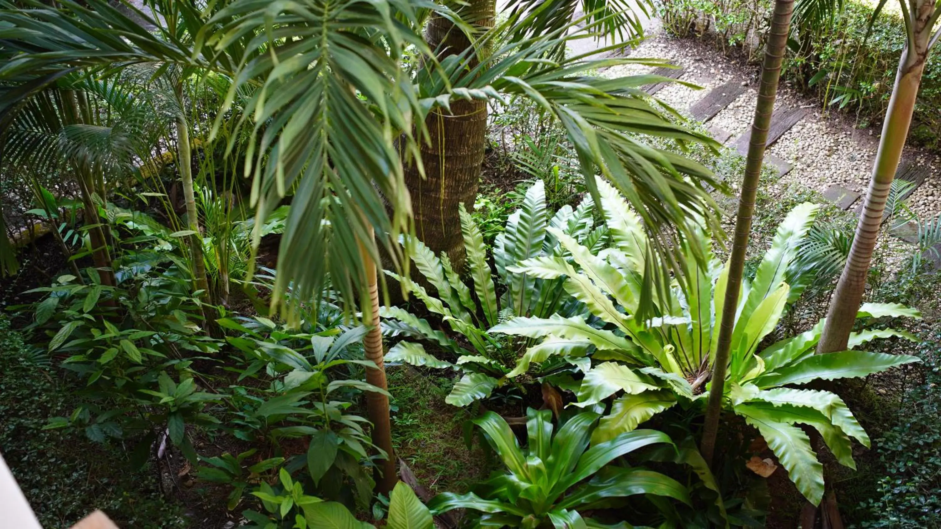 Property building in Baan Pitcha บ้านพิชชา Property building in Baan Pitcha บ้านพิชชา