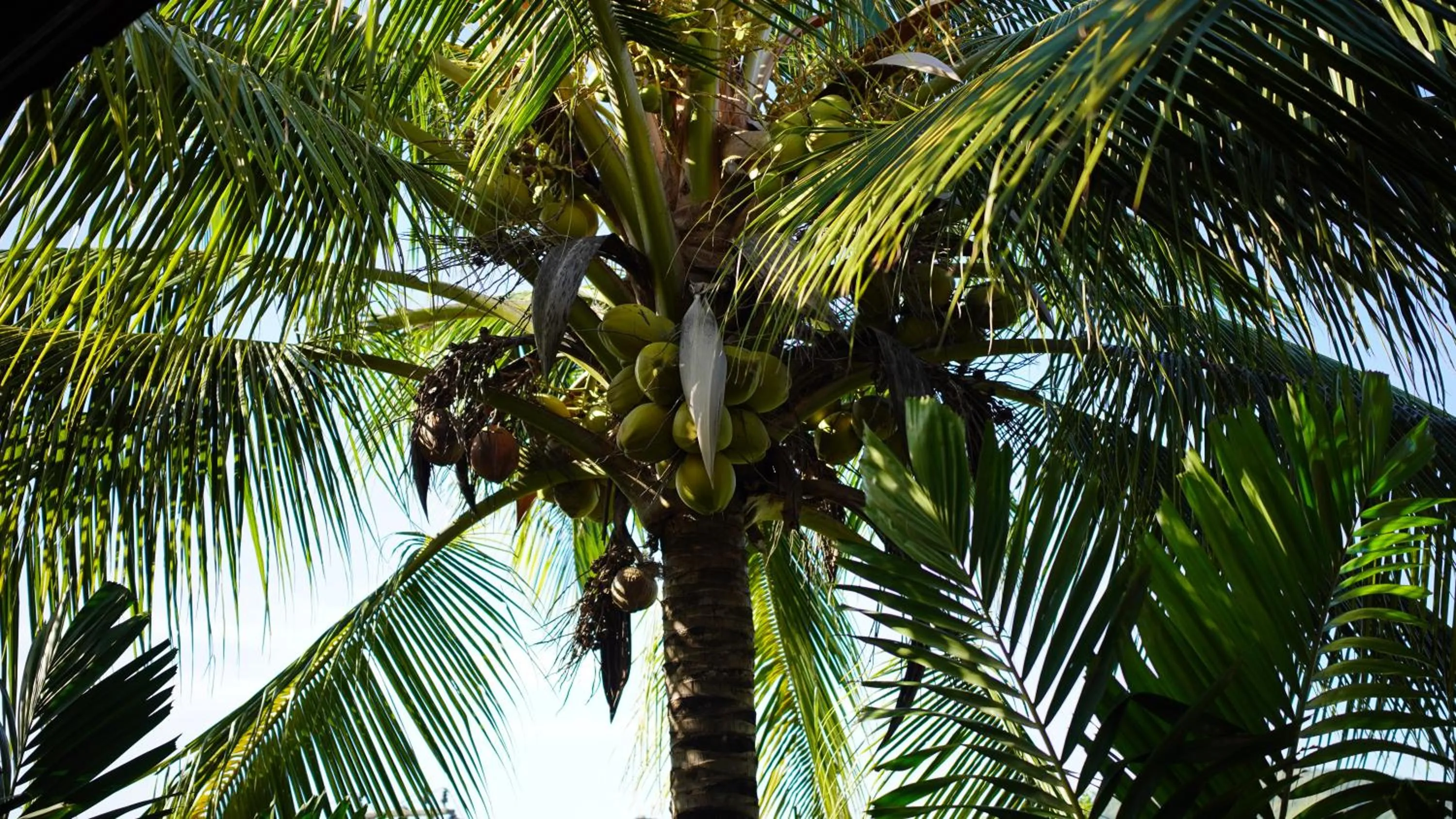 Property building in Baan Pitcha บ้านพิชชา