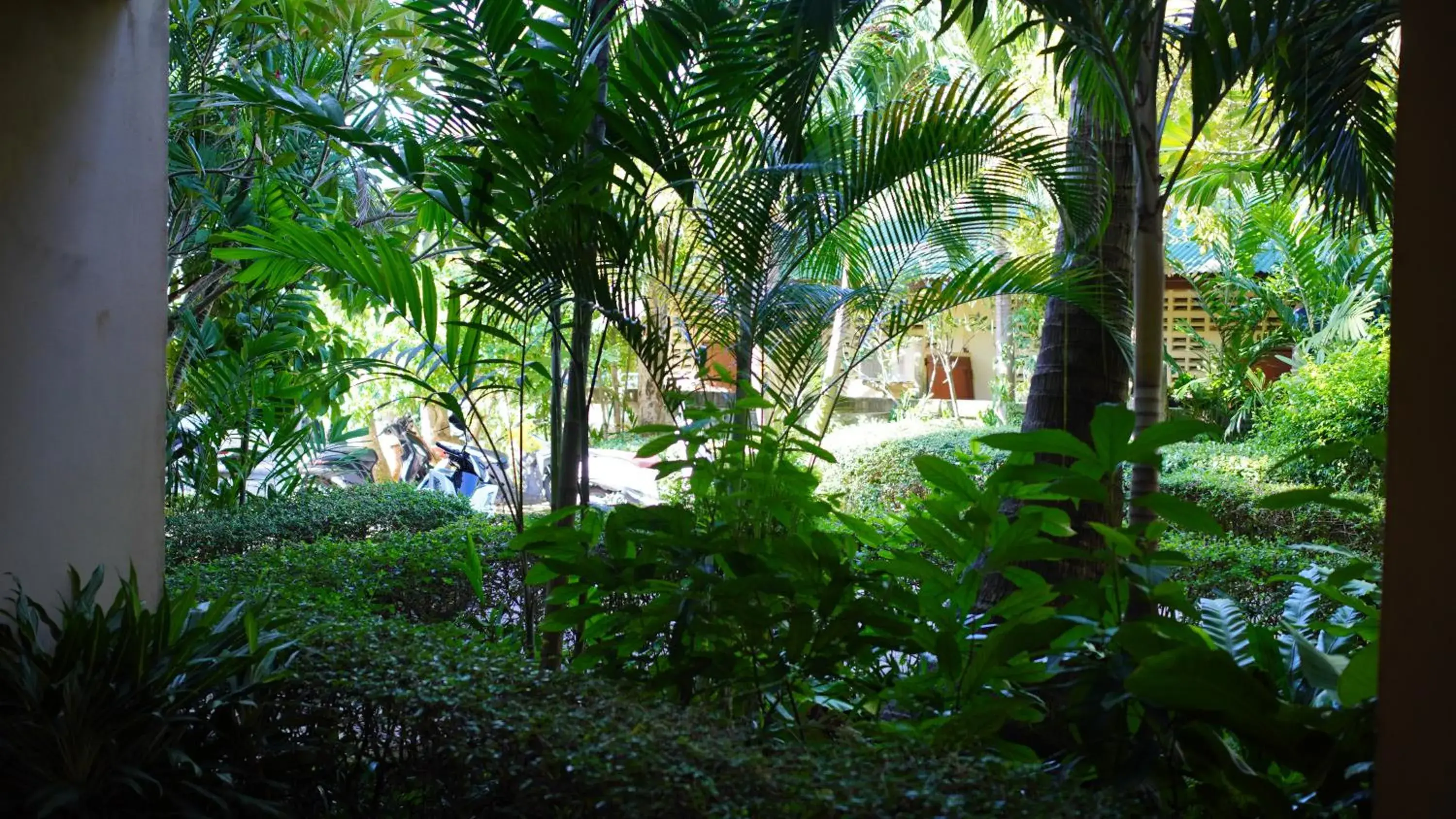 Property building in Baan Pitcha บ้านพิชชา Property building in Baan Pitcha บ้านพิชชา