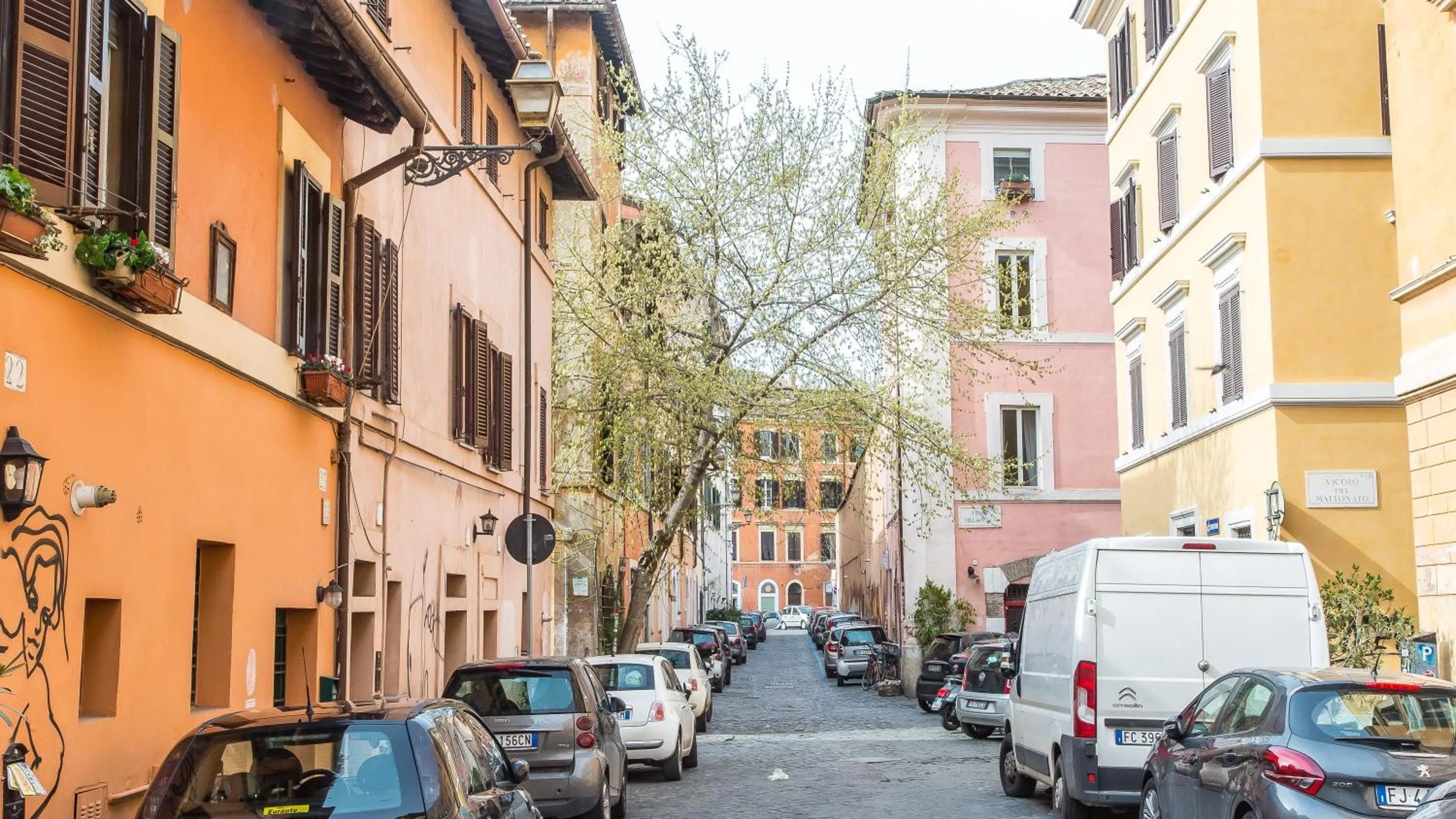 Street view in Rental in Rome Trastevere White