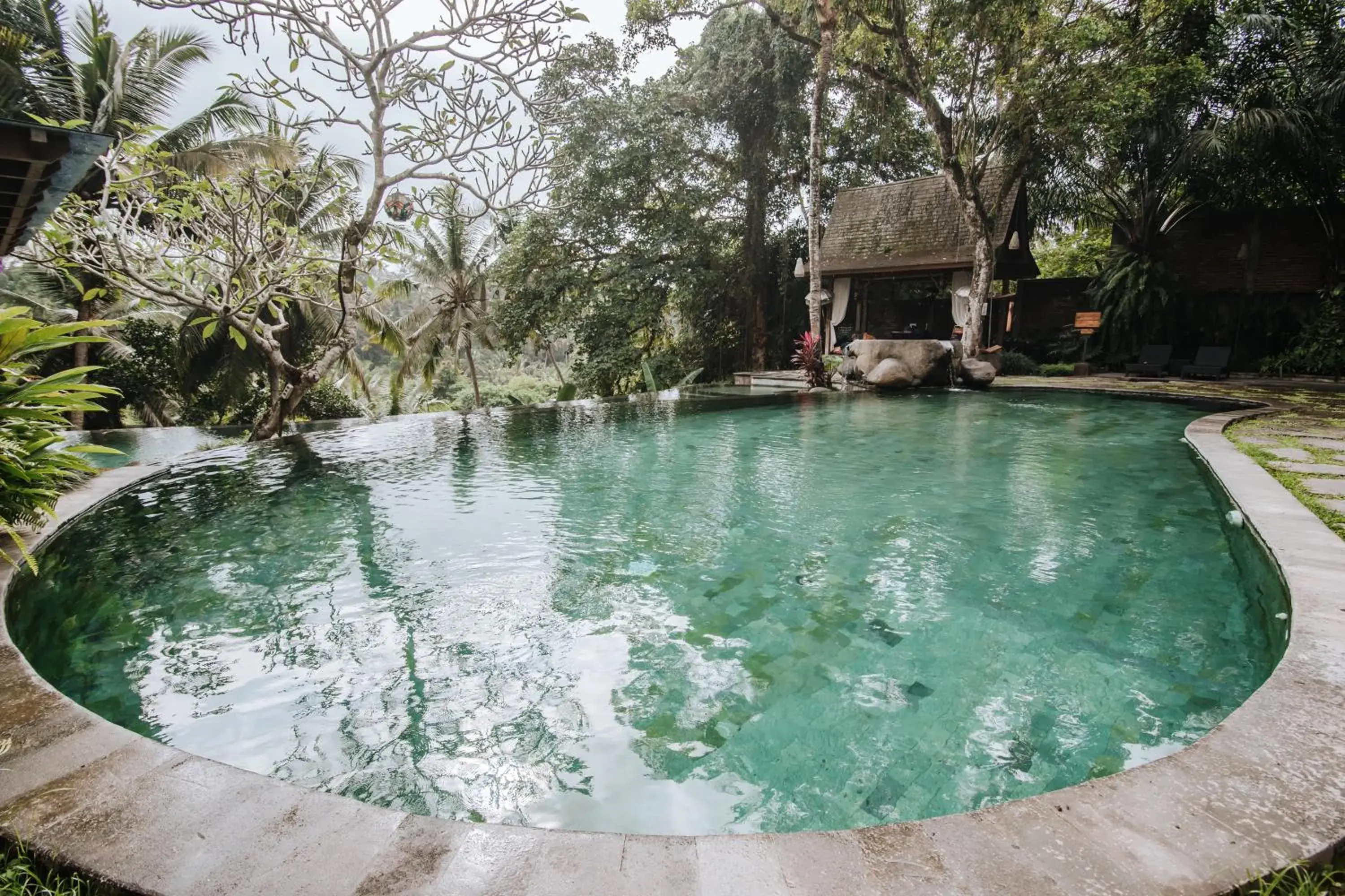 River view in Bucu View Resort River view in Bucu View Resort