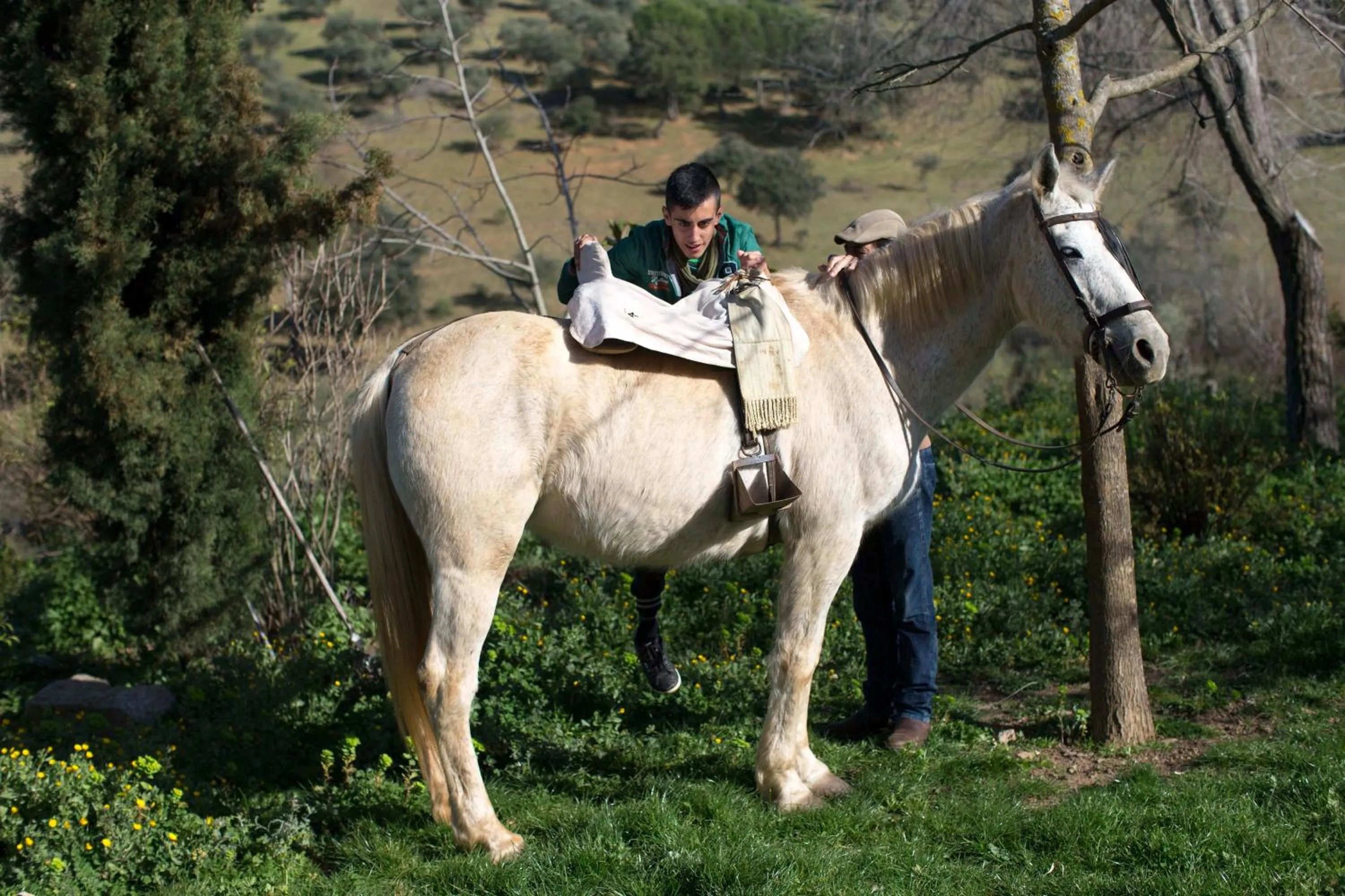 Cortijo El Berrocal