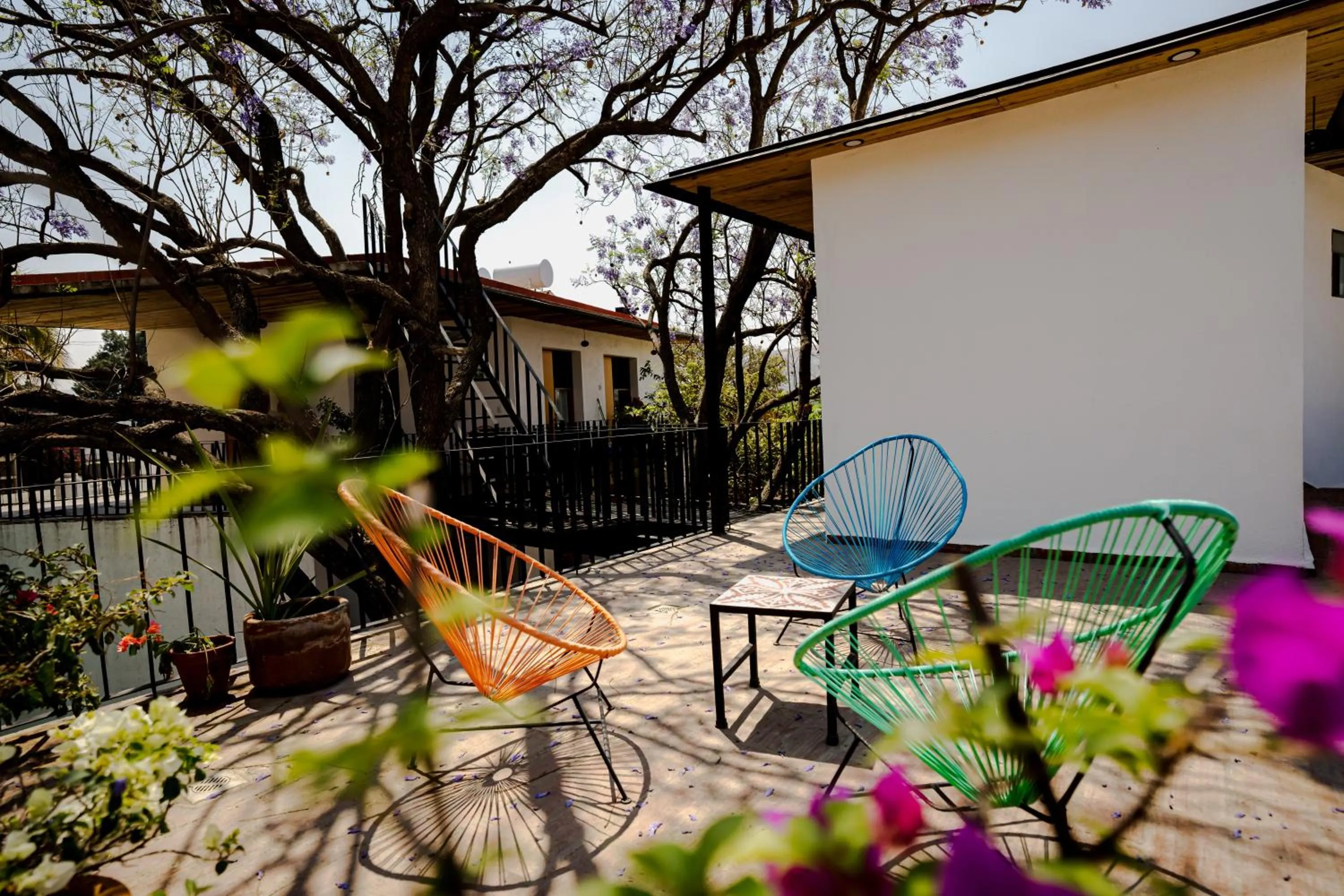 View (from property/room) in Hotel con Corazón Oaxaca