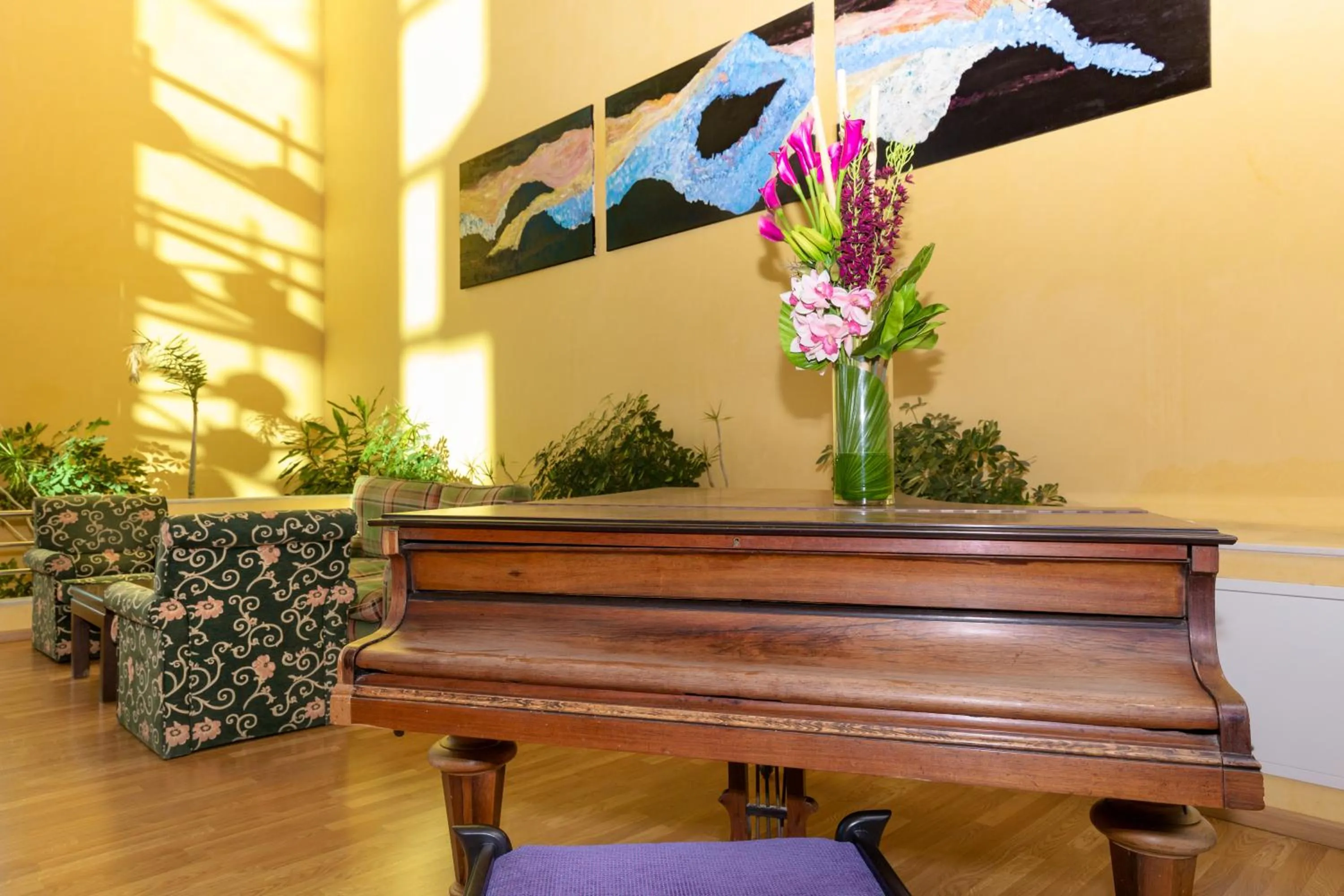 Other in Senator Marbella