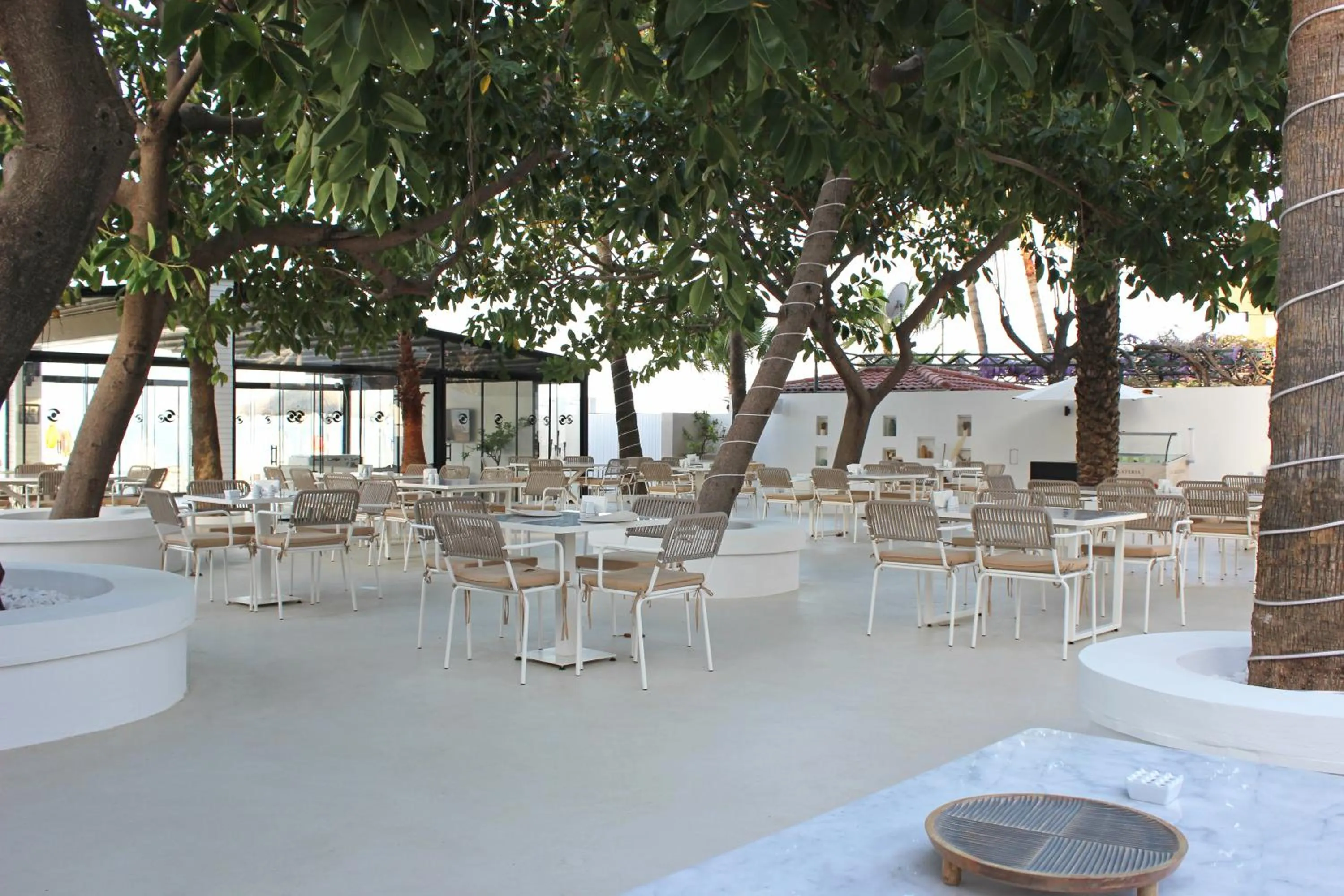 Restaurant/places to eat in Savk Hotel