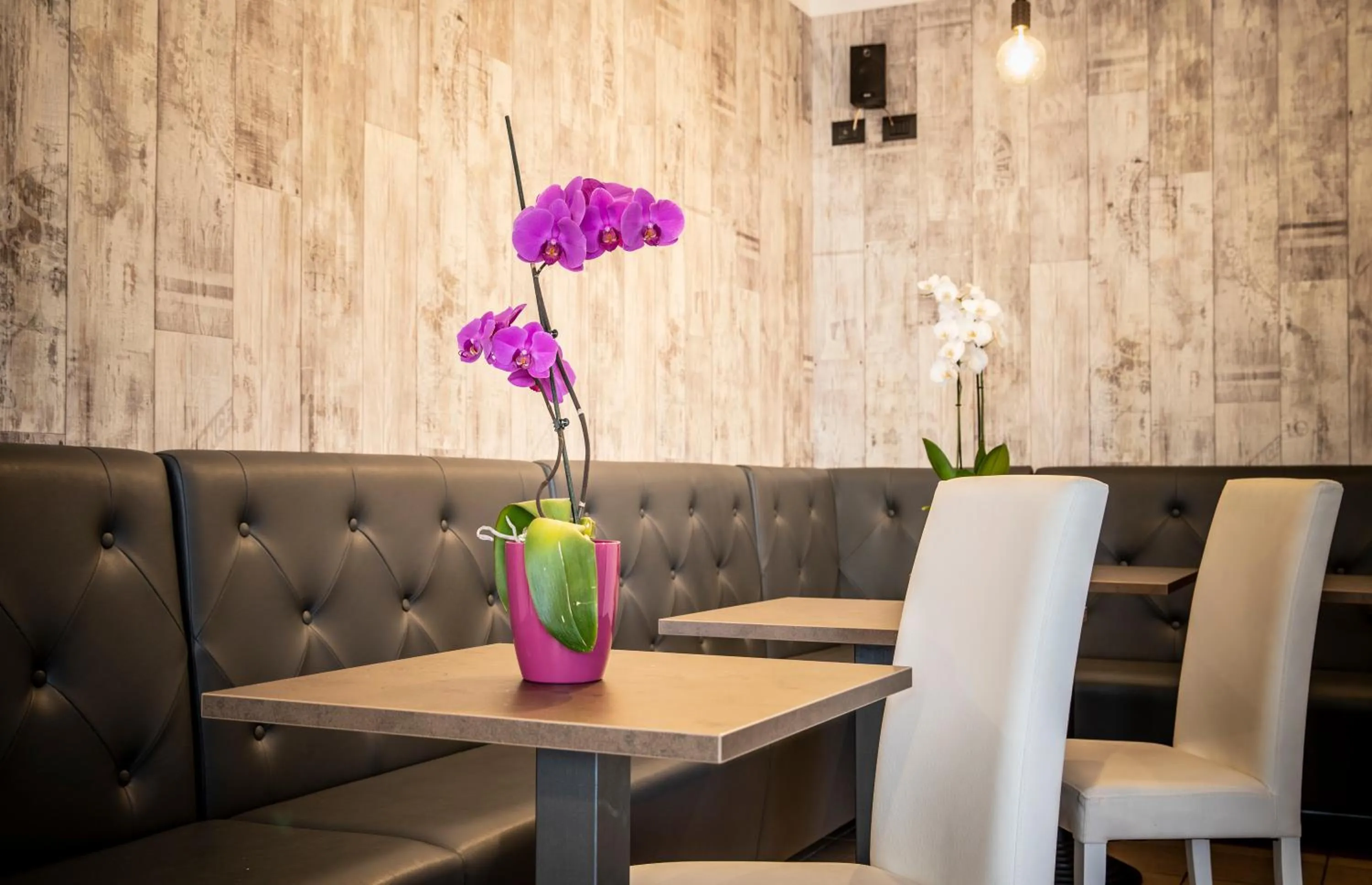 Lounge or bar in Hotel Piuro