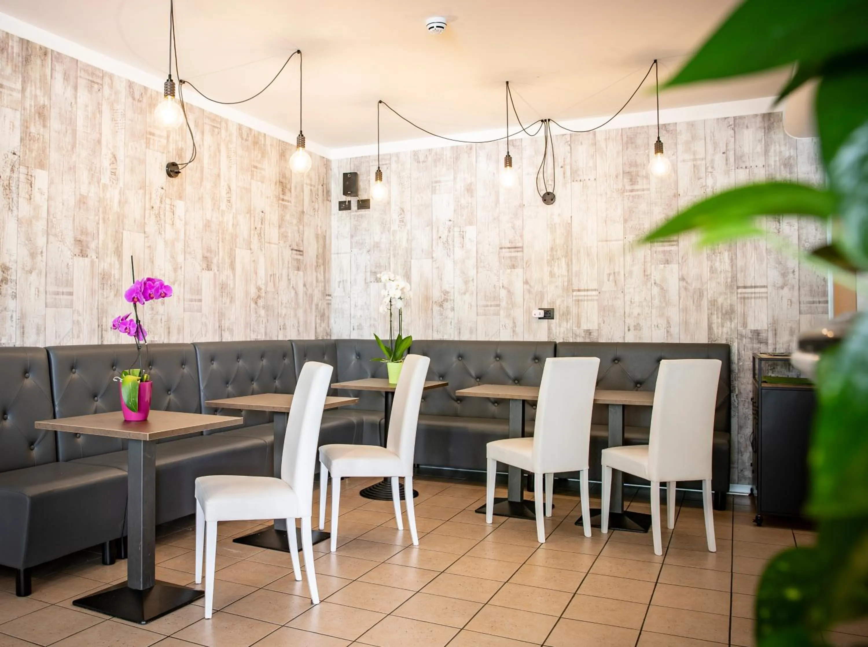 Lounge or bar in Hotel Piuro