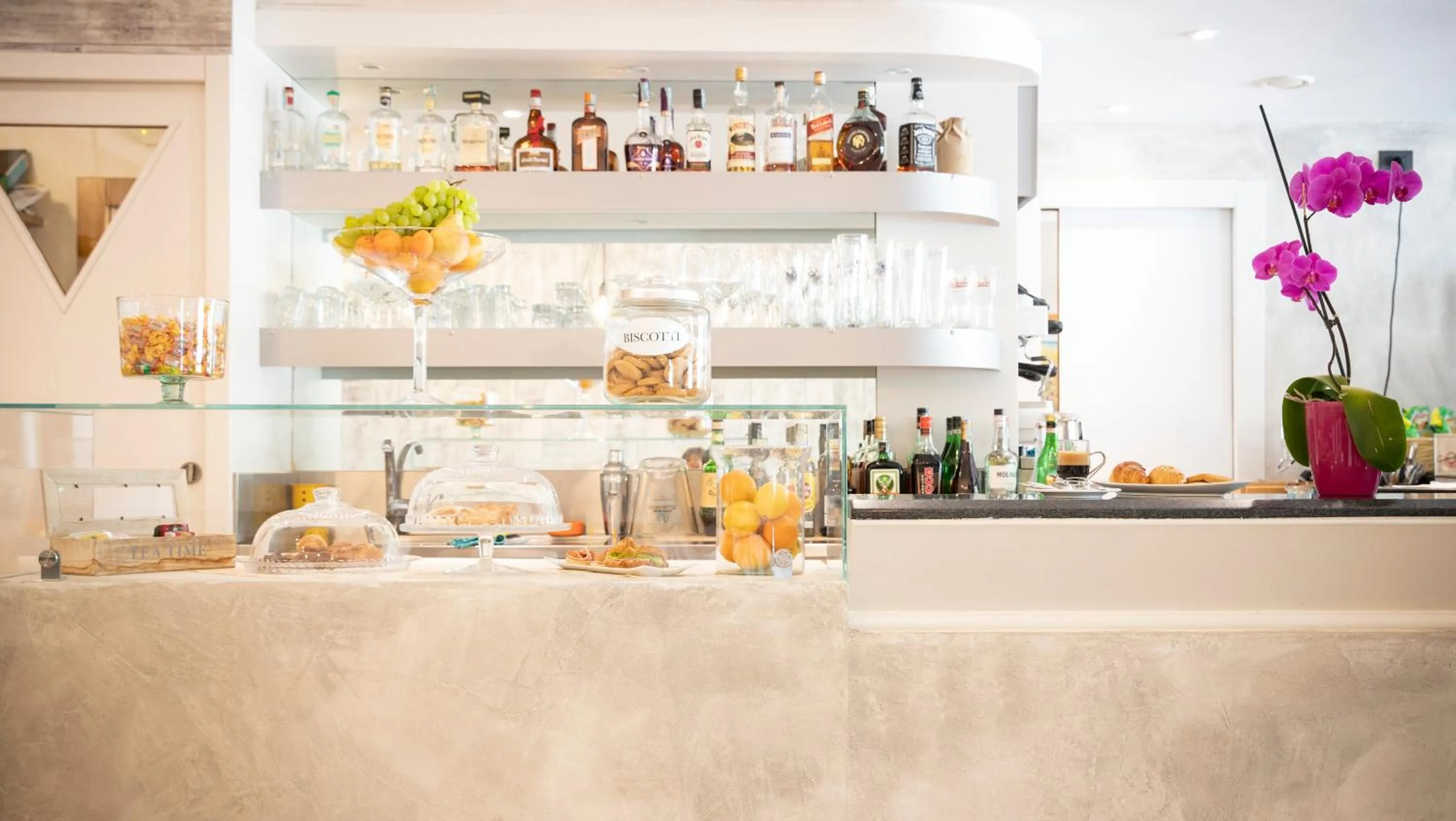 Lounge or bar in Hotel Piuro