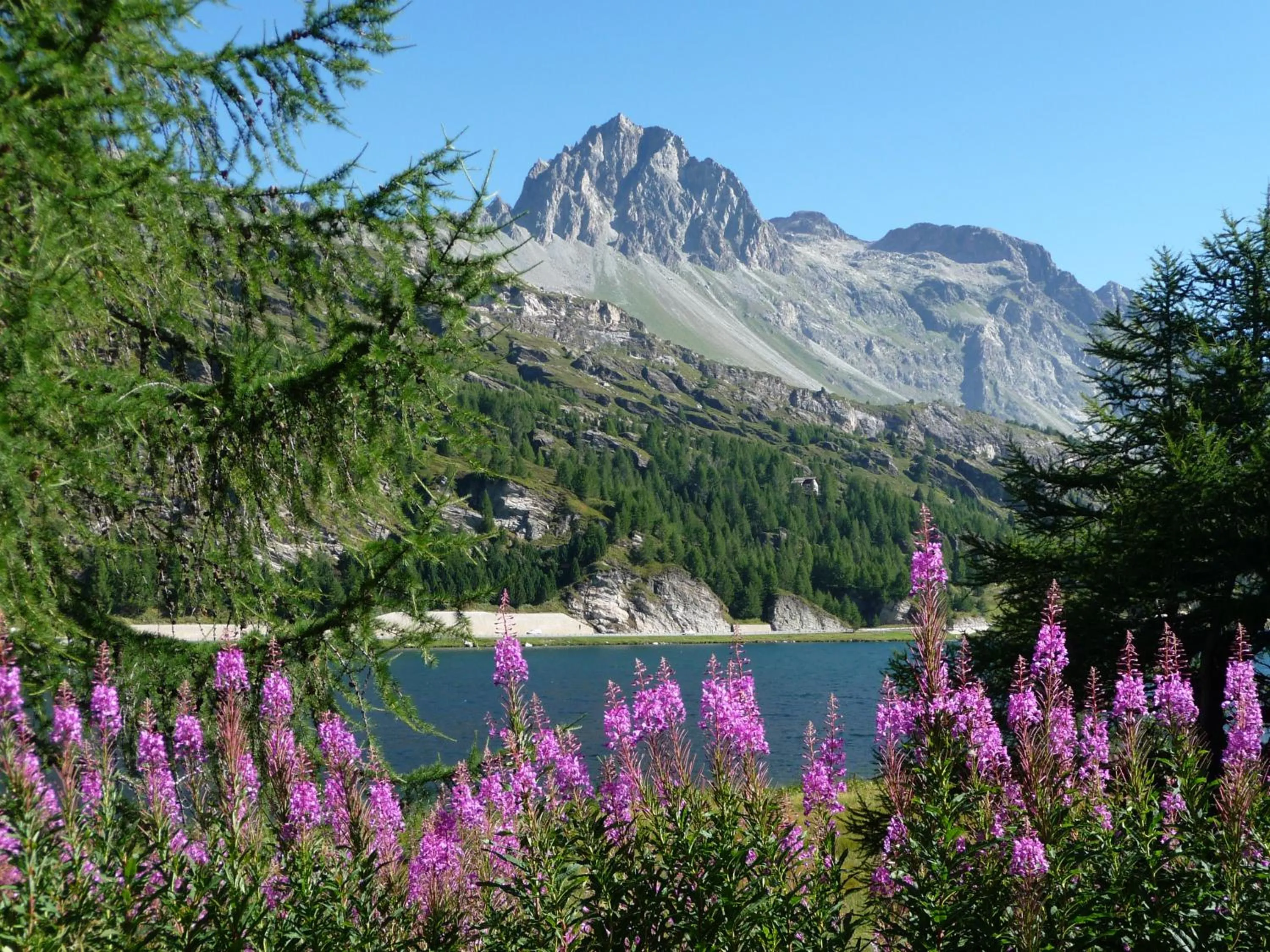 Natural landscape in Hotel Piuro