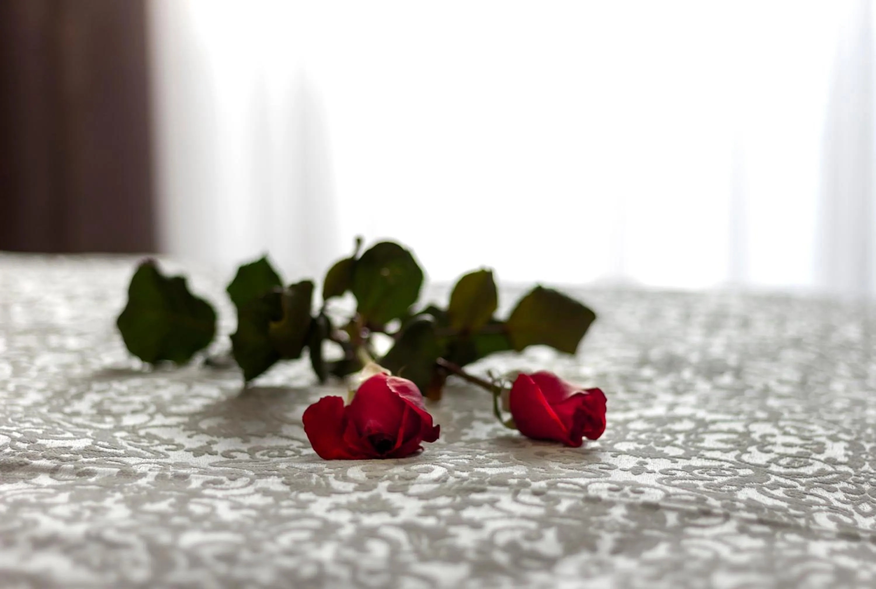 Decorative detail in Aspendos Seaside
