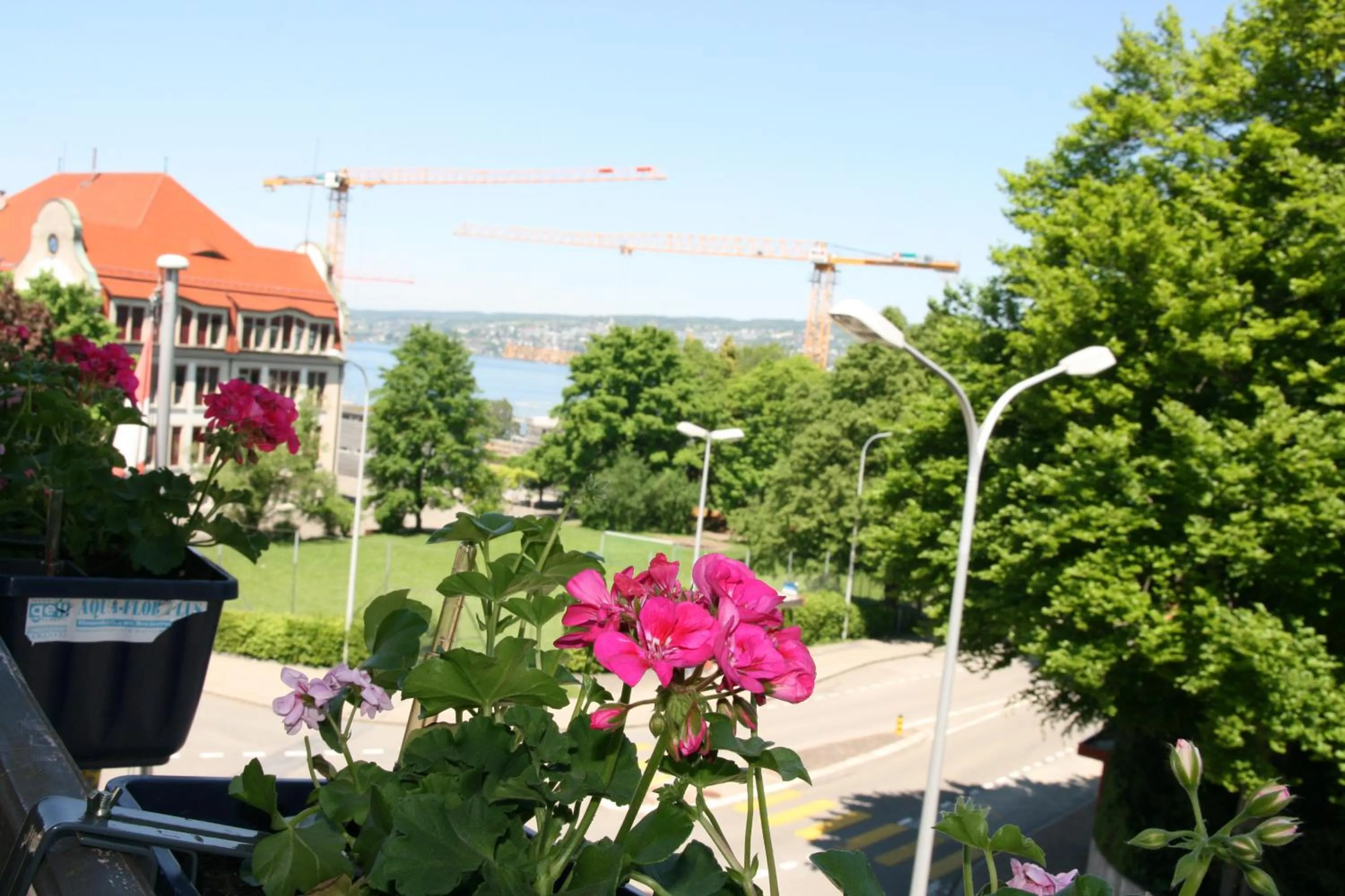 View (from property/room) in Hotel Glärnisch Hof